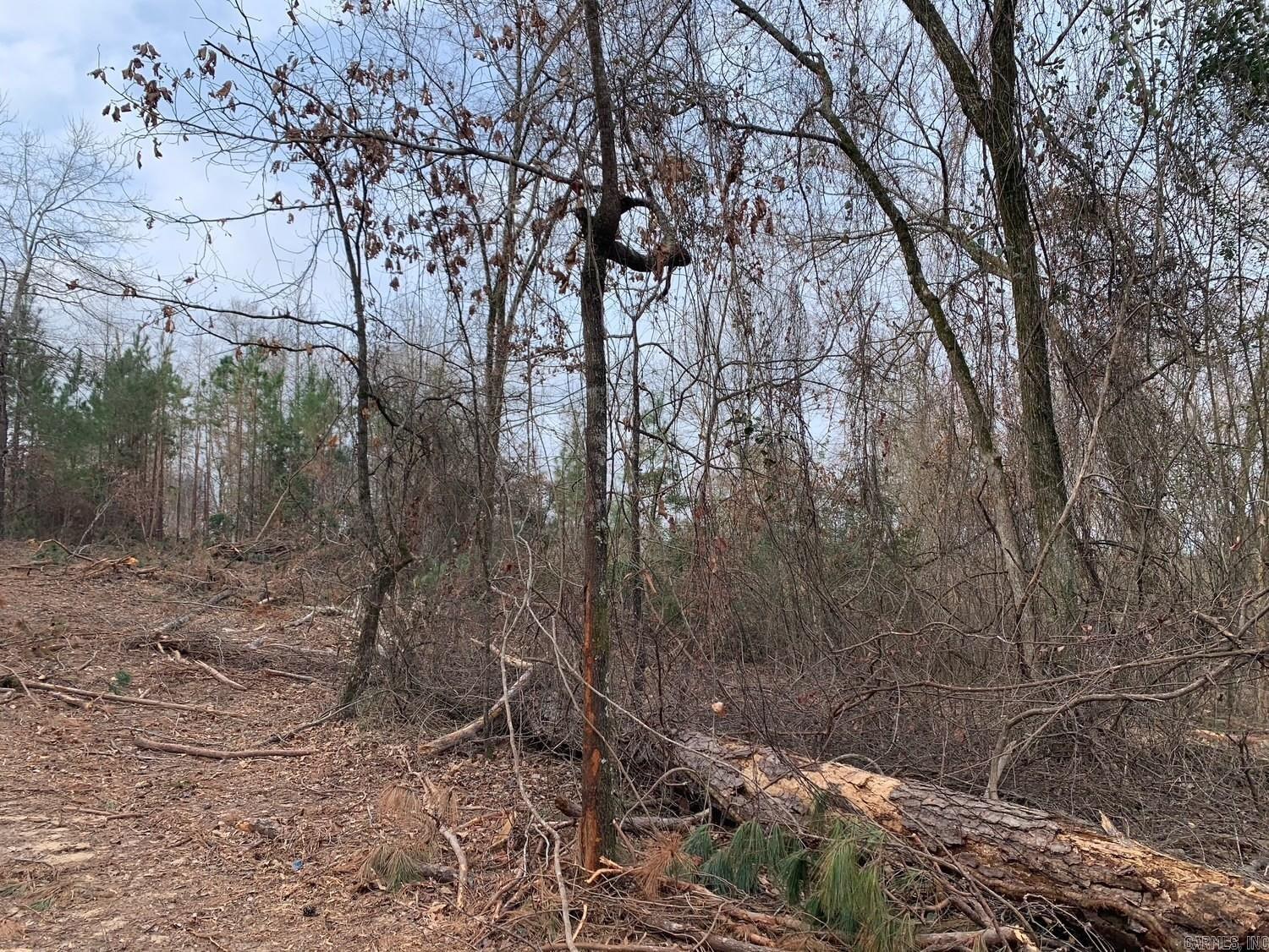 Tract 4 11395 Hwy 84  Bismarck, AR