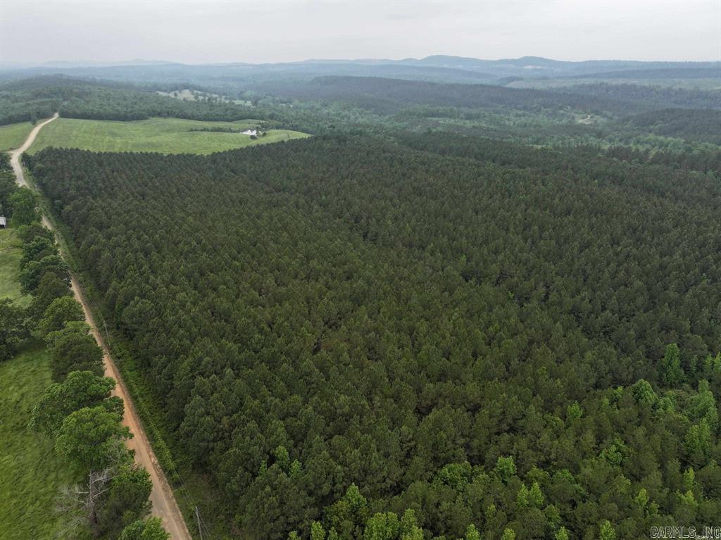 TBD Polk Road 13 Lot #2 Wickes, AR