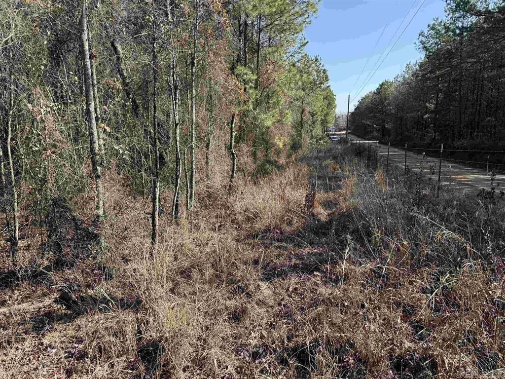 TBD Polk Road 13 Lot #2 Wickes, AR