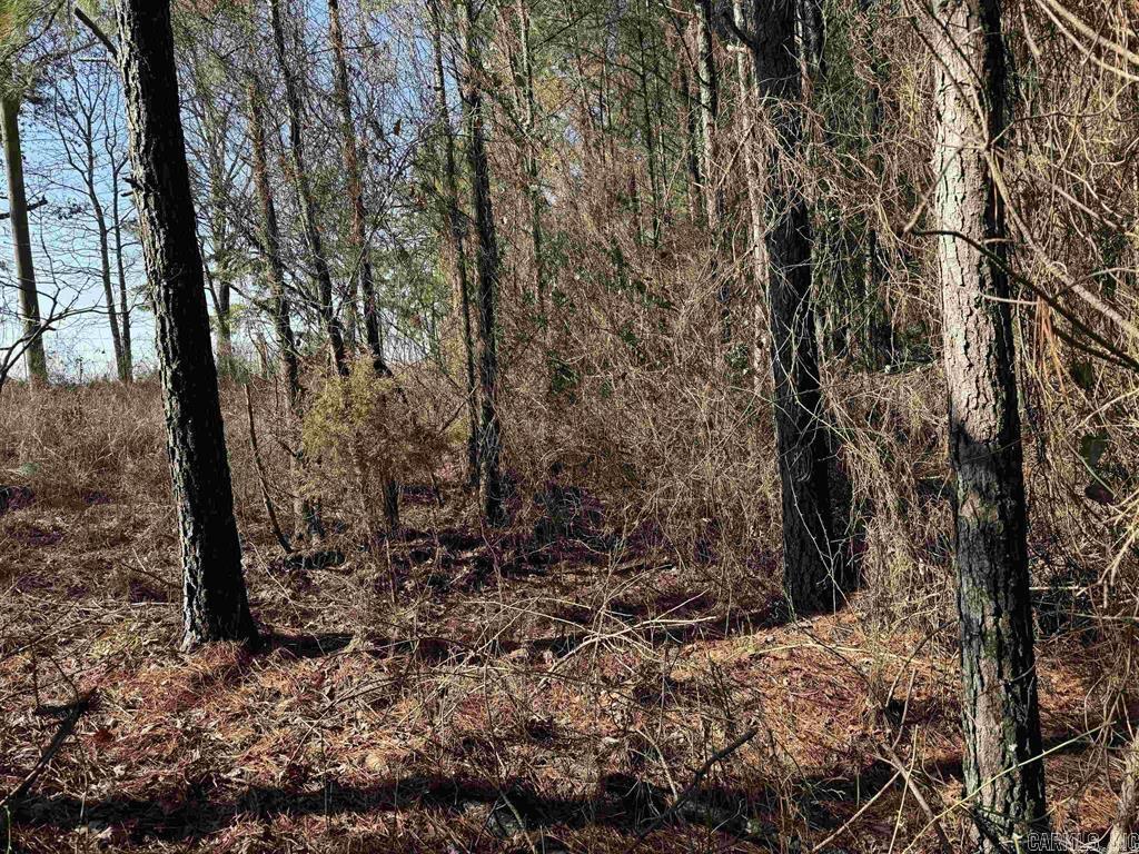 TBD Polk Road 13 Lot #2 Wickes, AR