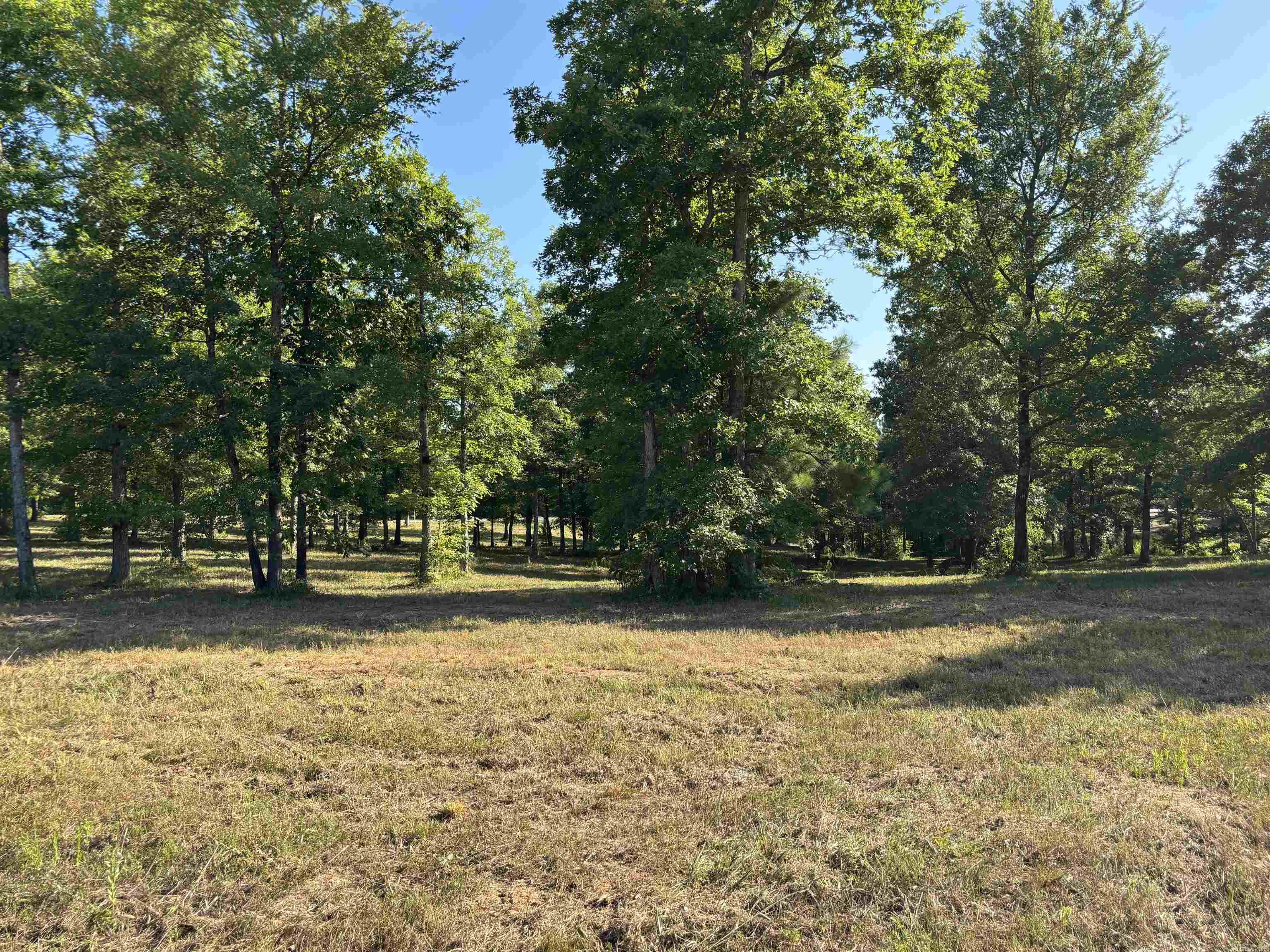 Lot 1 Grant County Road 762  Sheridan, AR