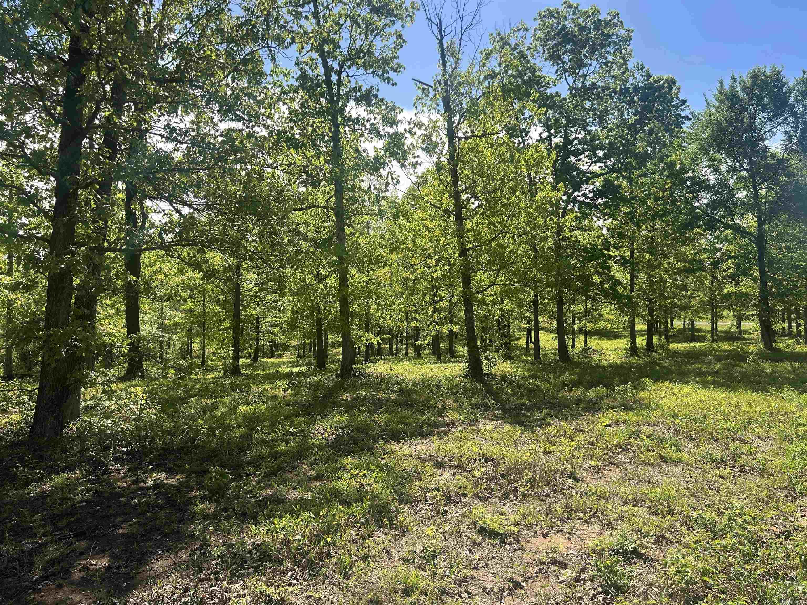 Lot 1 Grant County Road 762  Sheridan, AR