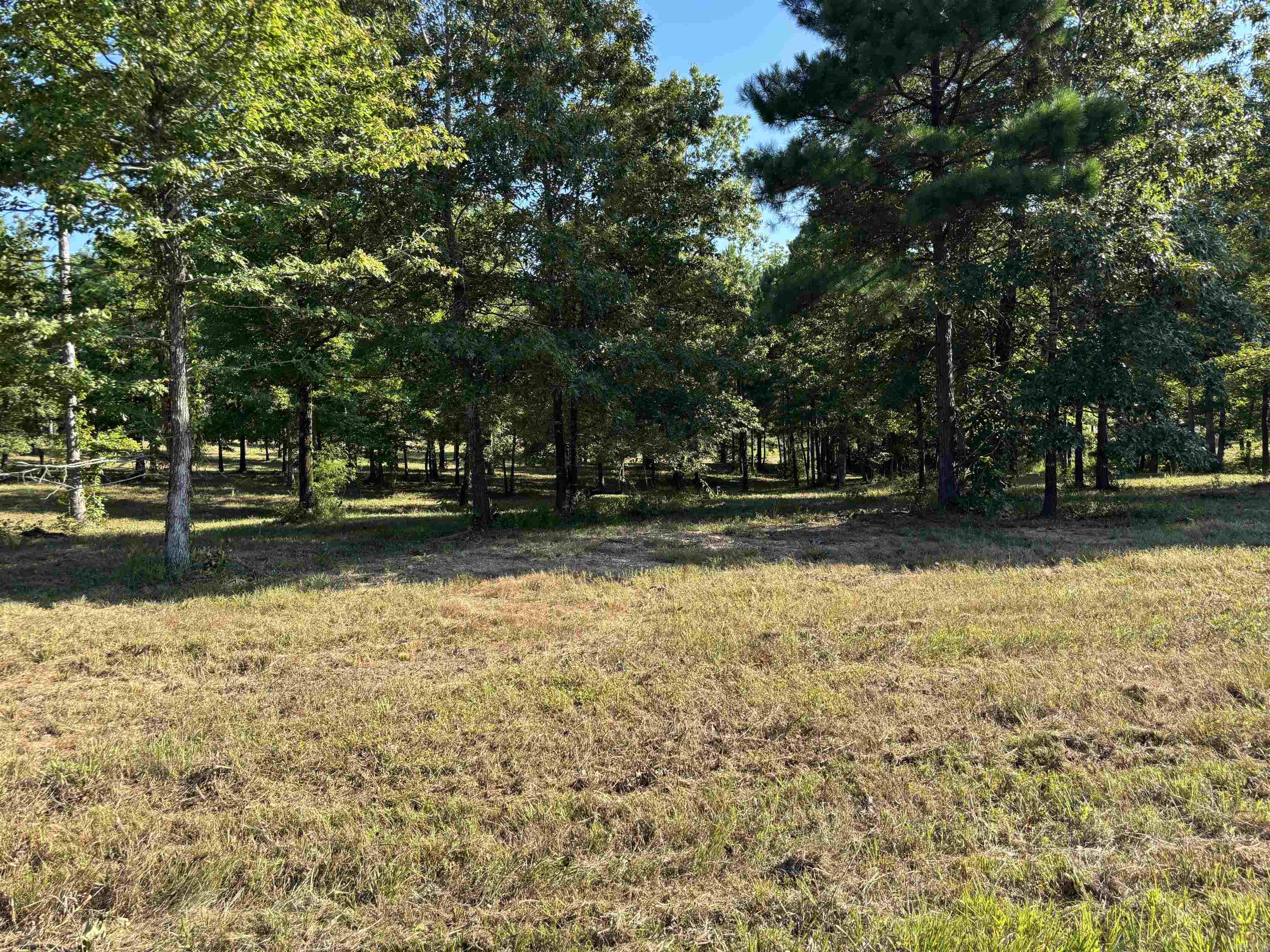 Lot 1 Grant County Road 762  Sheridan, AR