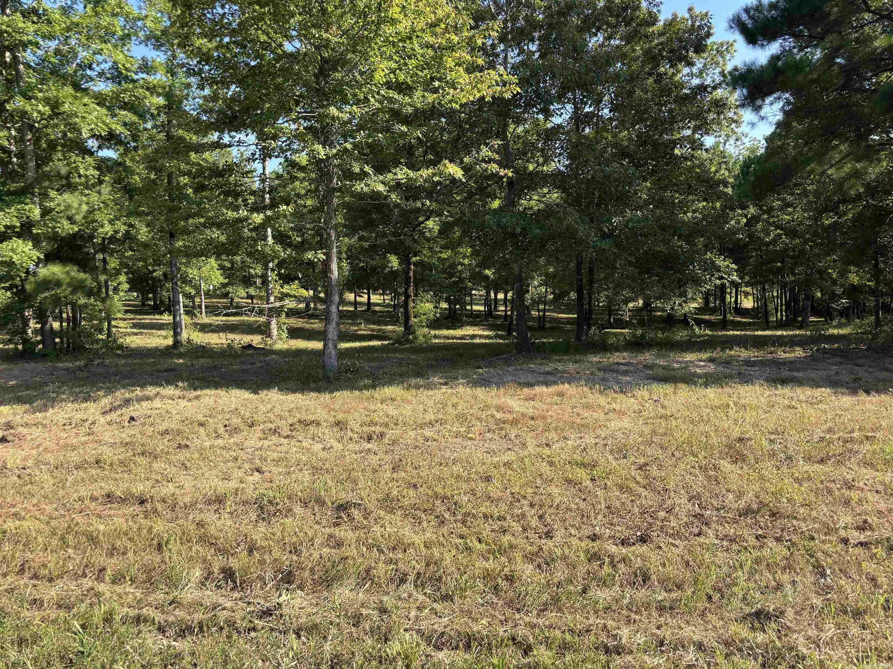 Lot 1 Grant County Road 762  Sheridan, AR
