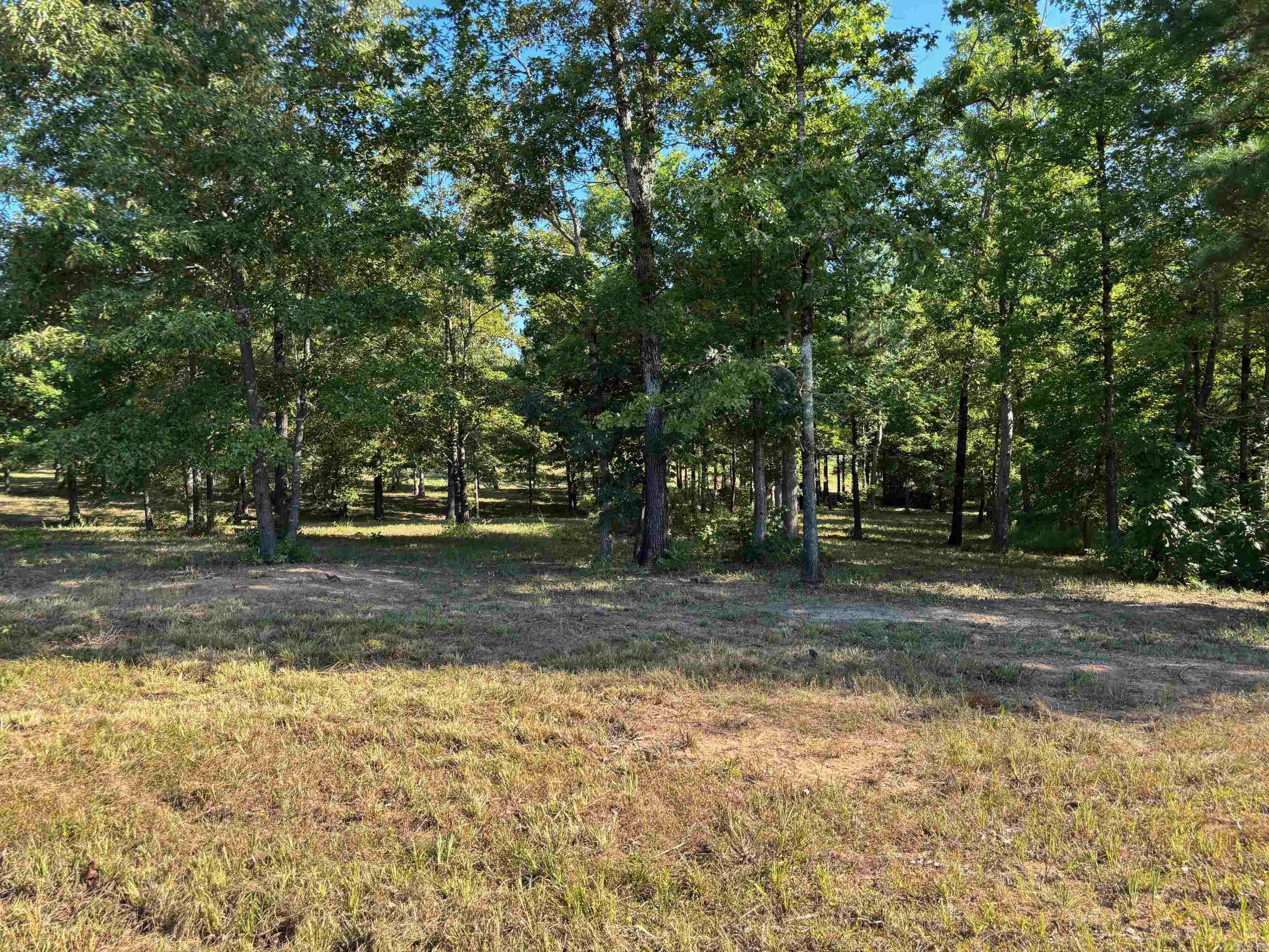 Lot 1 Grant County Road 762  Sheridan, AR