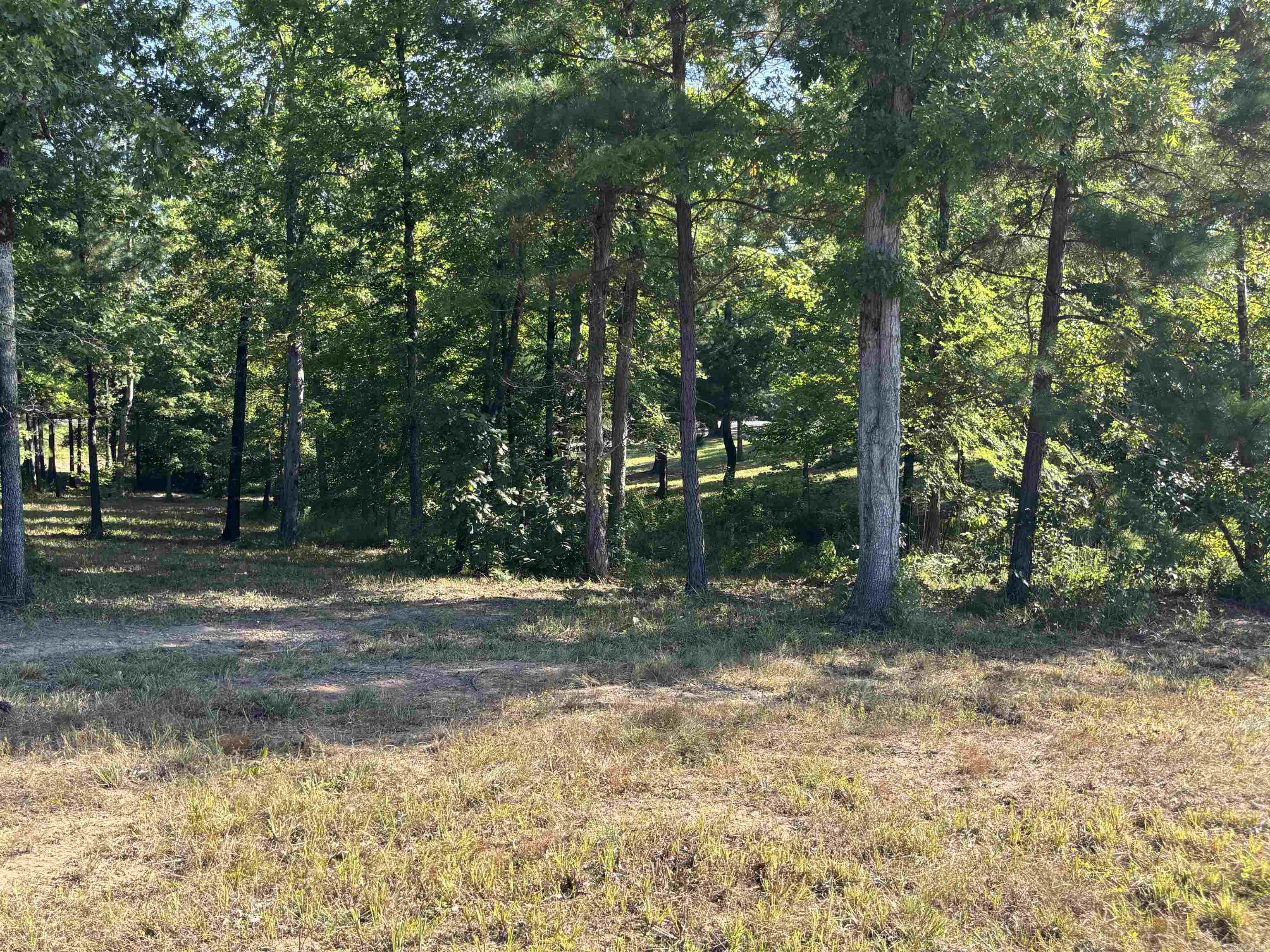 Lot 1 Grant County Road 762  Sheridan, AR