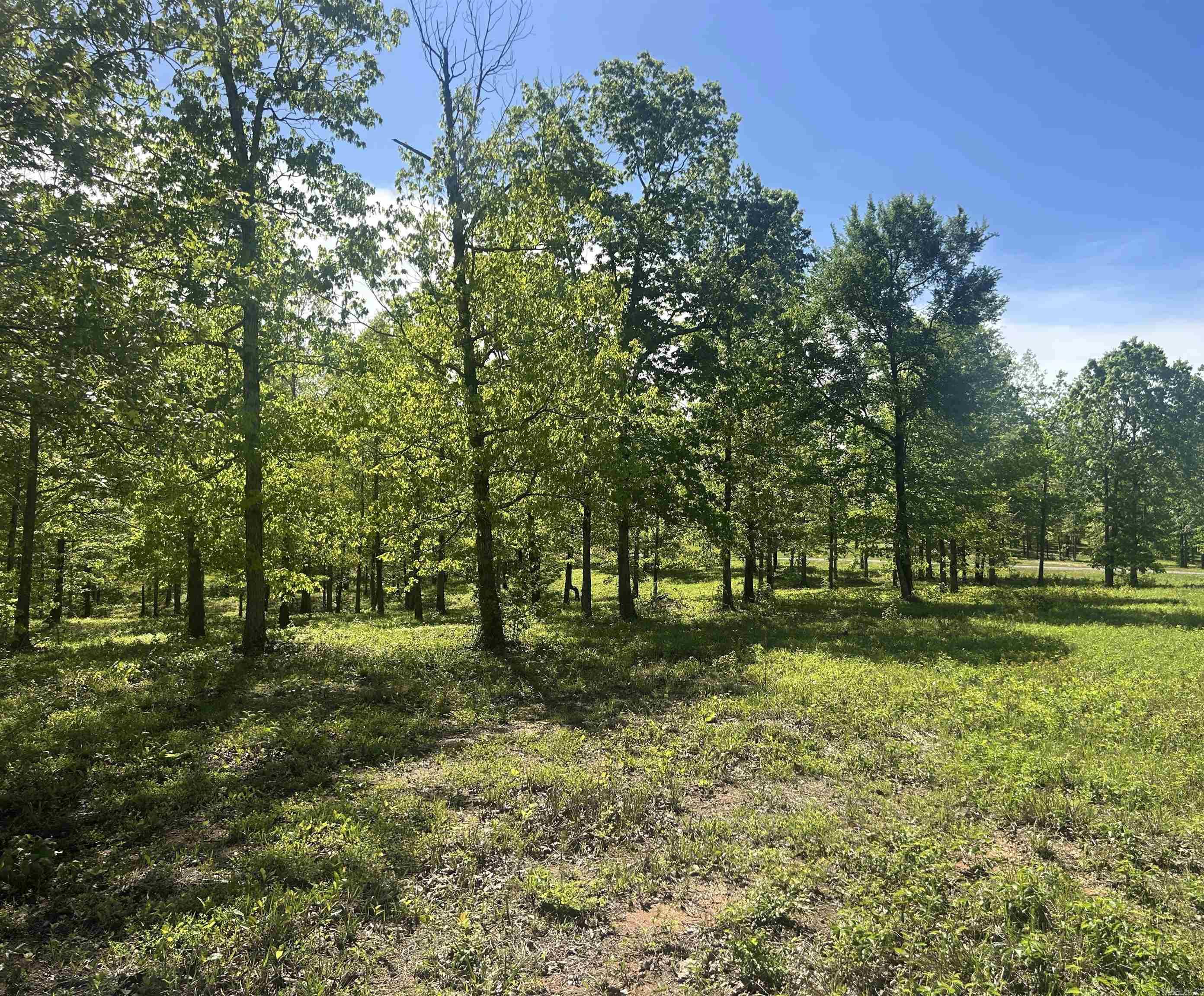 Lot 1 Grant County Road 762  Sheridan, AR