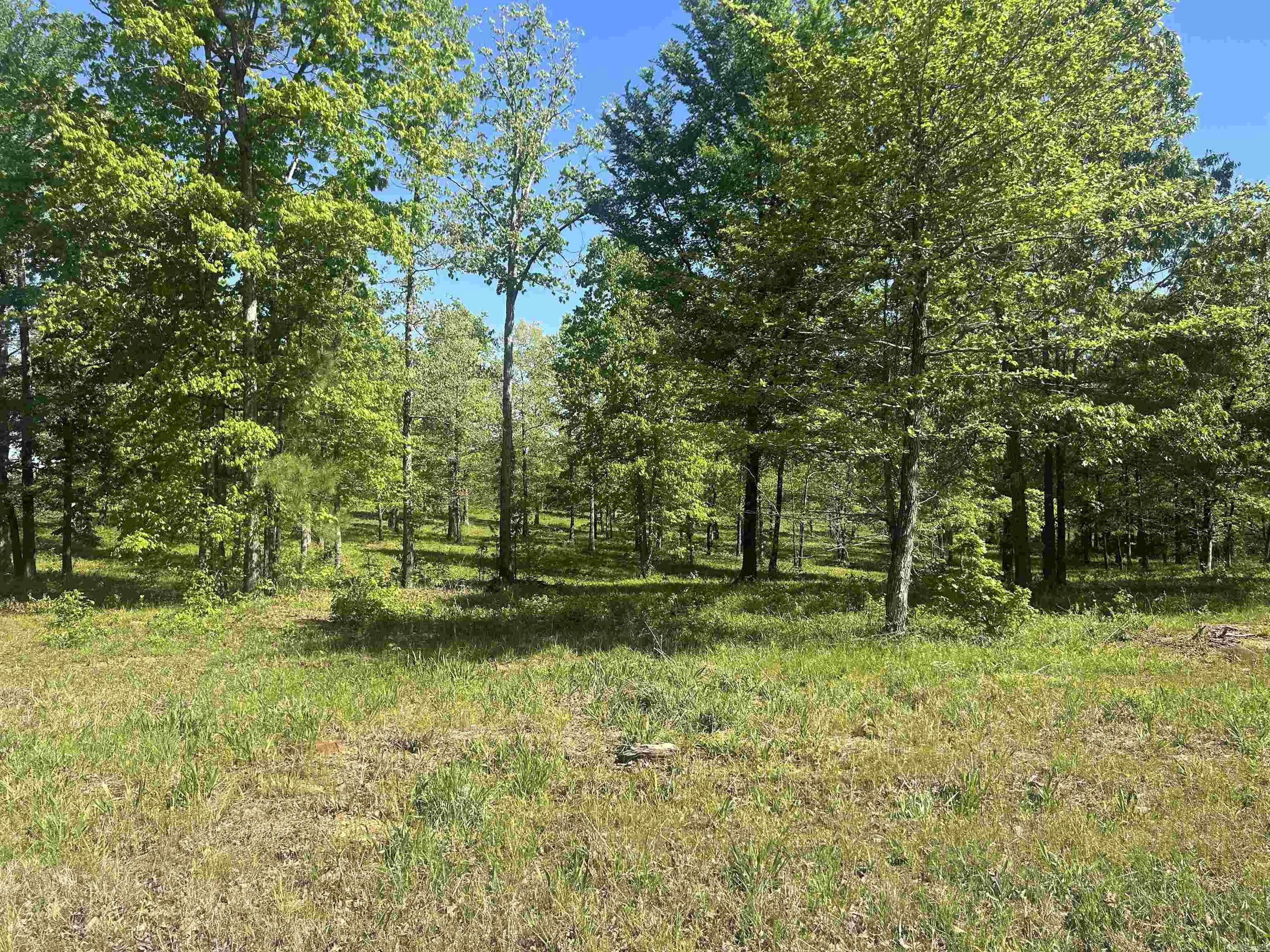 Lot 1 Grant County Road 762  Sheridan, AR