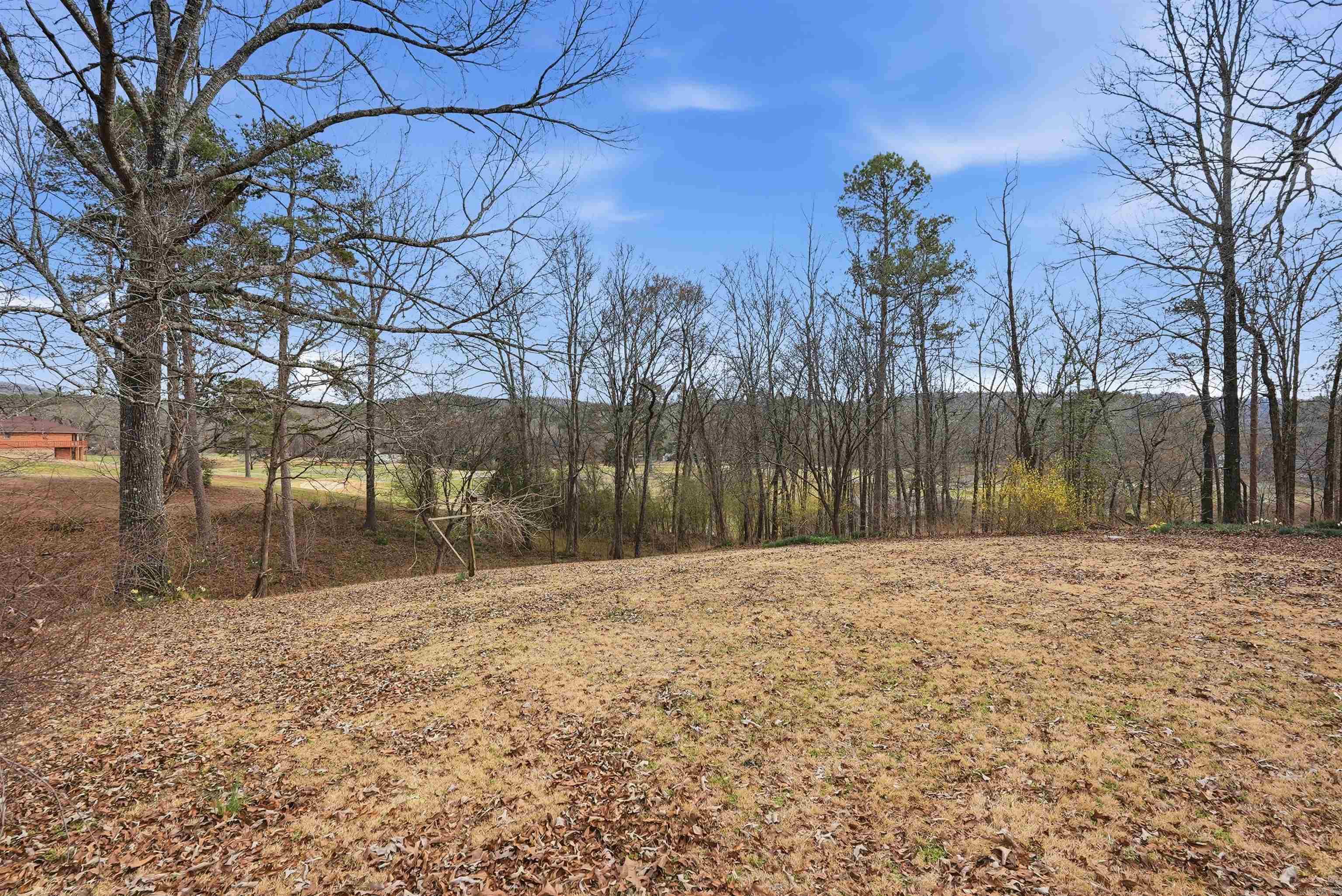 110 Fairway Ct Hot Springs, AR 71913