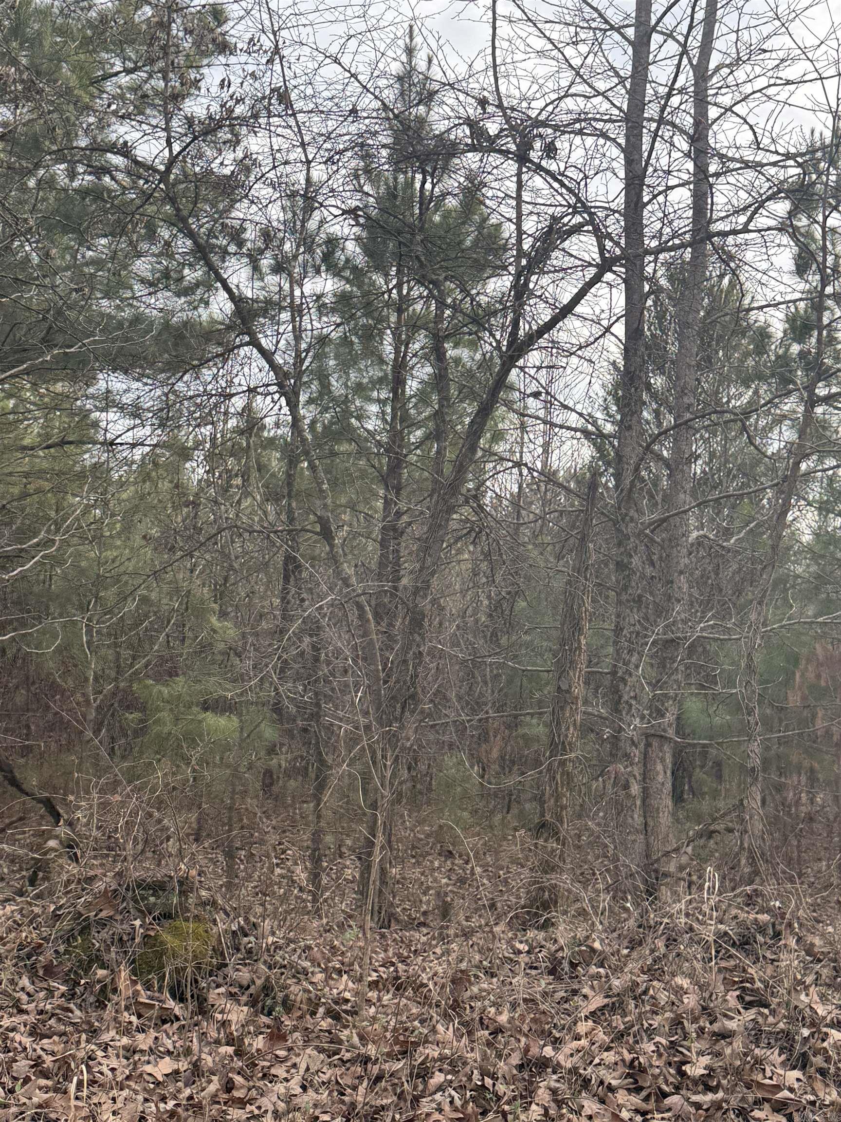 Lot 1 CR 326  Jonesboro, AR