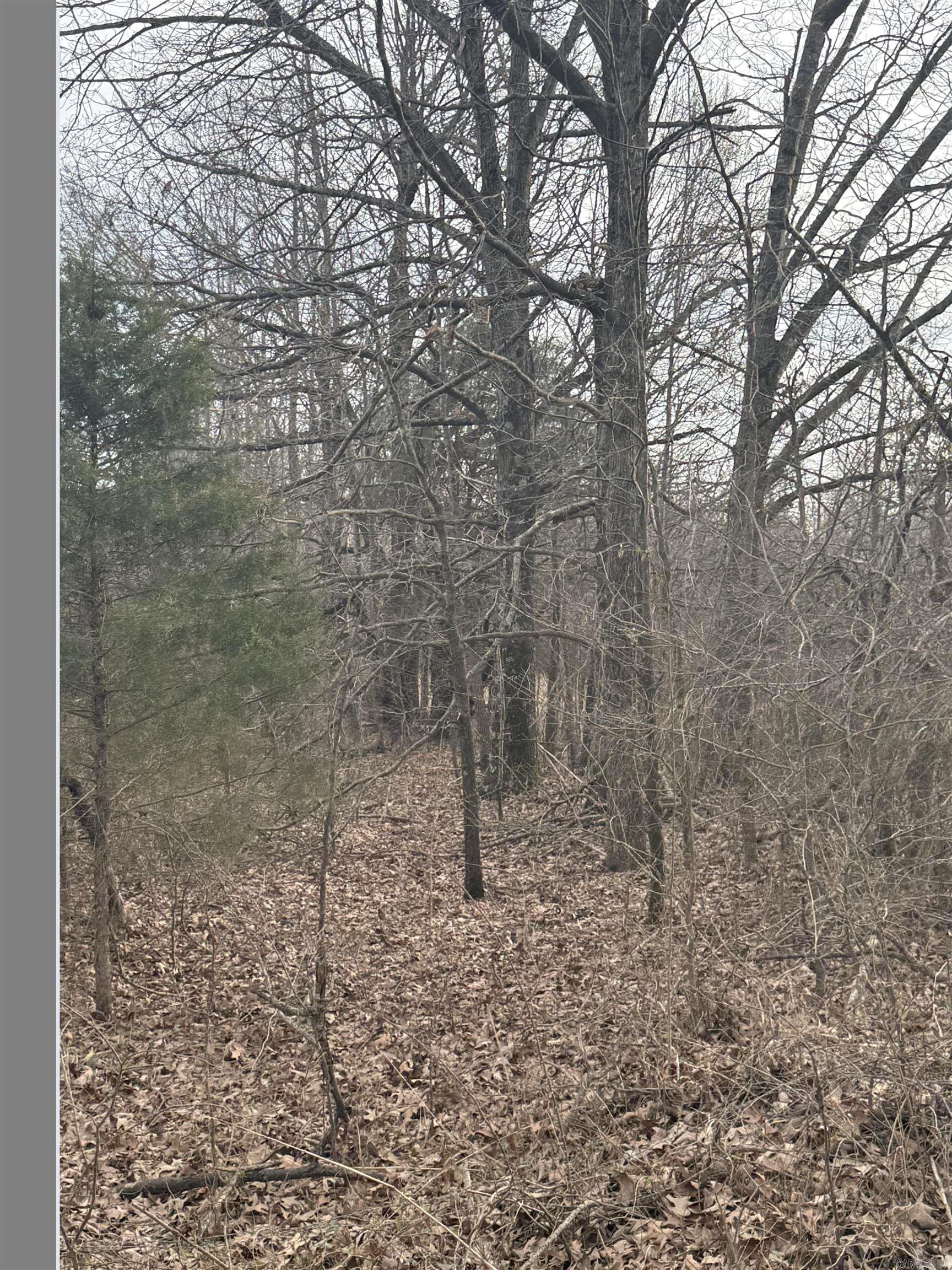 Lot 1 CR 326  Jonesboro, AR