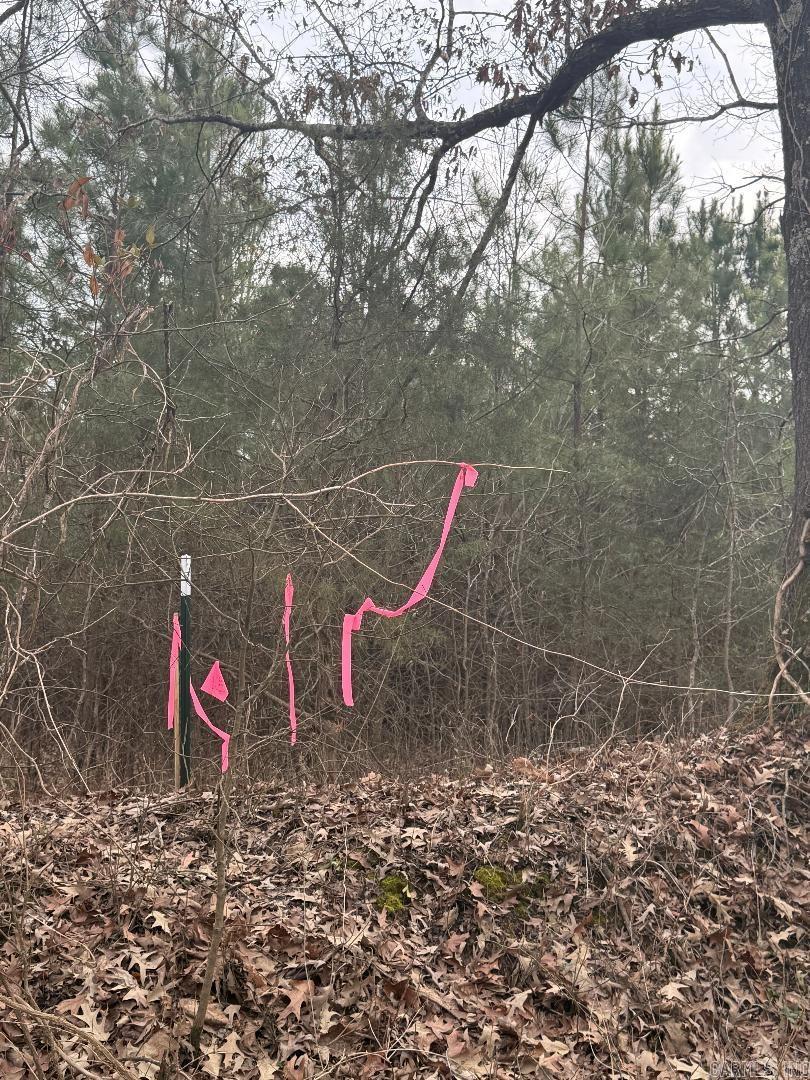 Lot 3 CR 326  Jonesboro, AR
