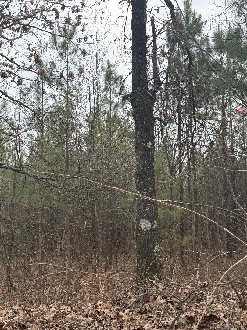 Lot 3 CR 326  Jonesboro, AR