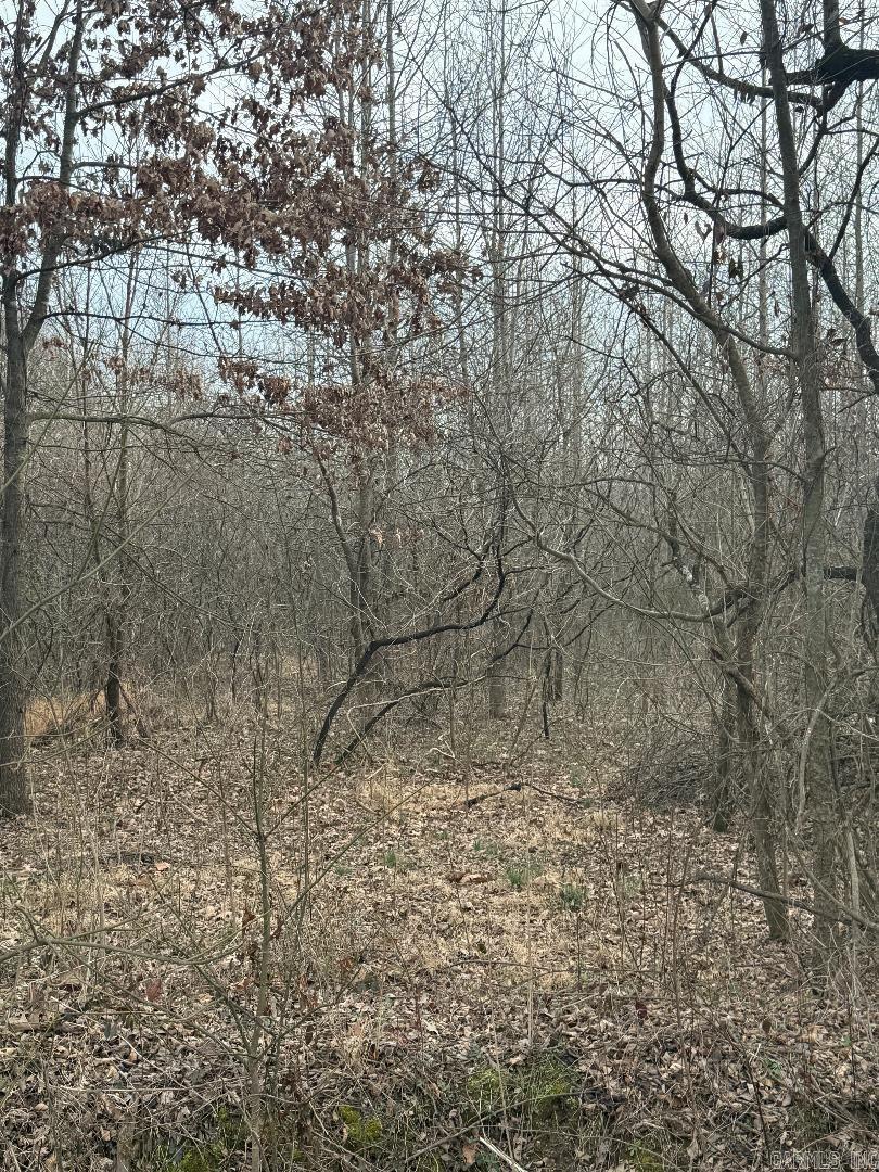 Lot 4 CR 326  Jonesboro, AR
