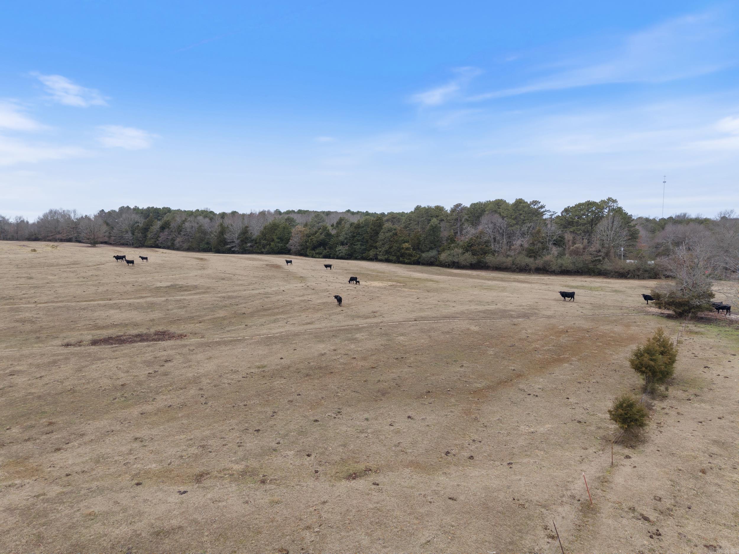 000 N Highway 25  Greenbrier, AR