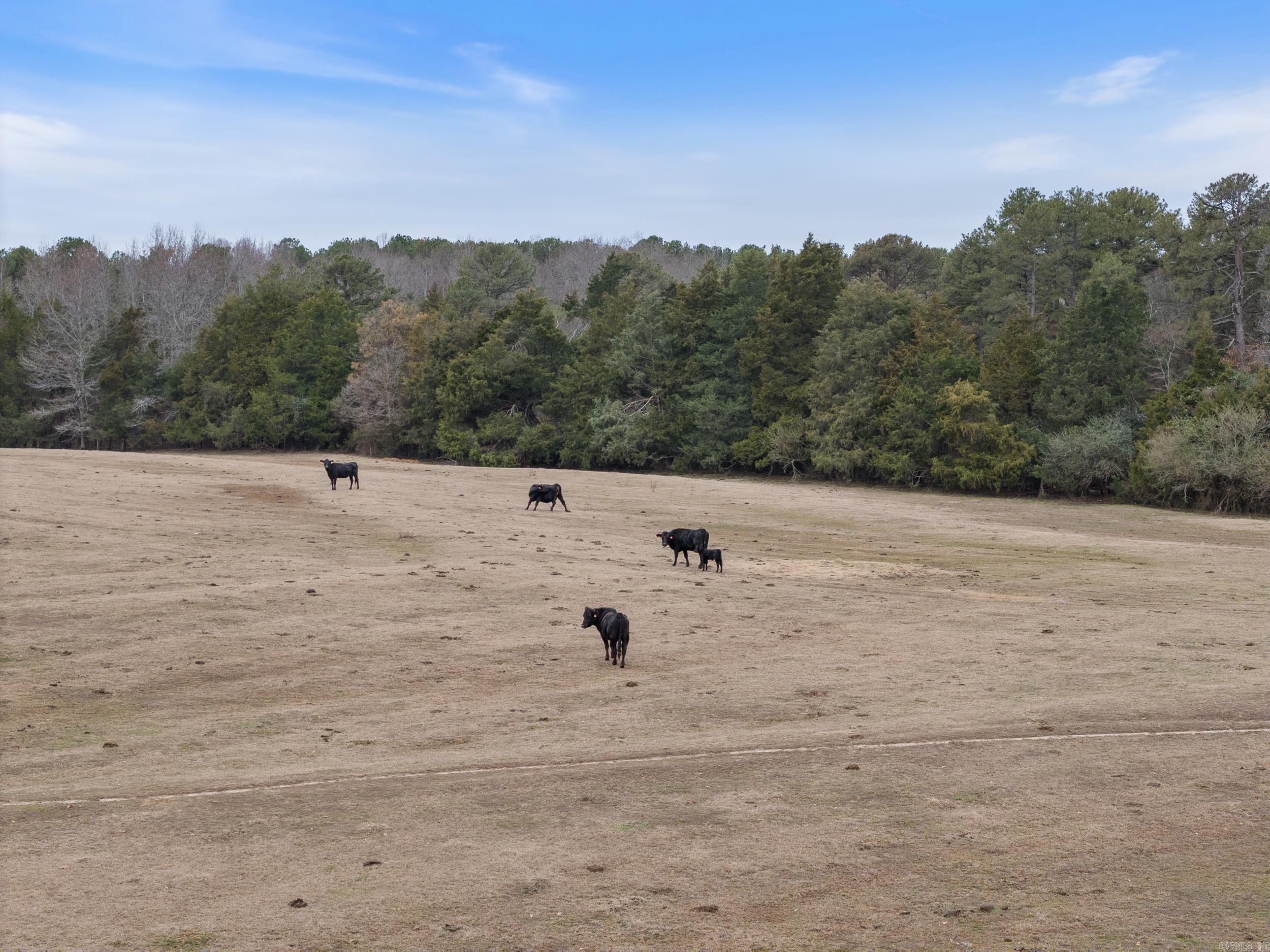 000 N Highway 25  Greenbrier, AR