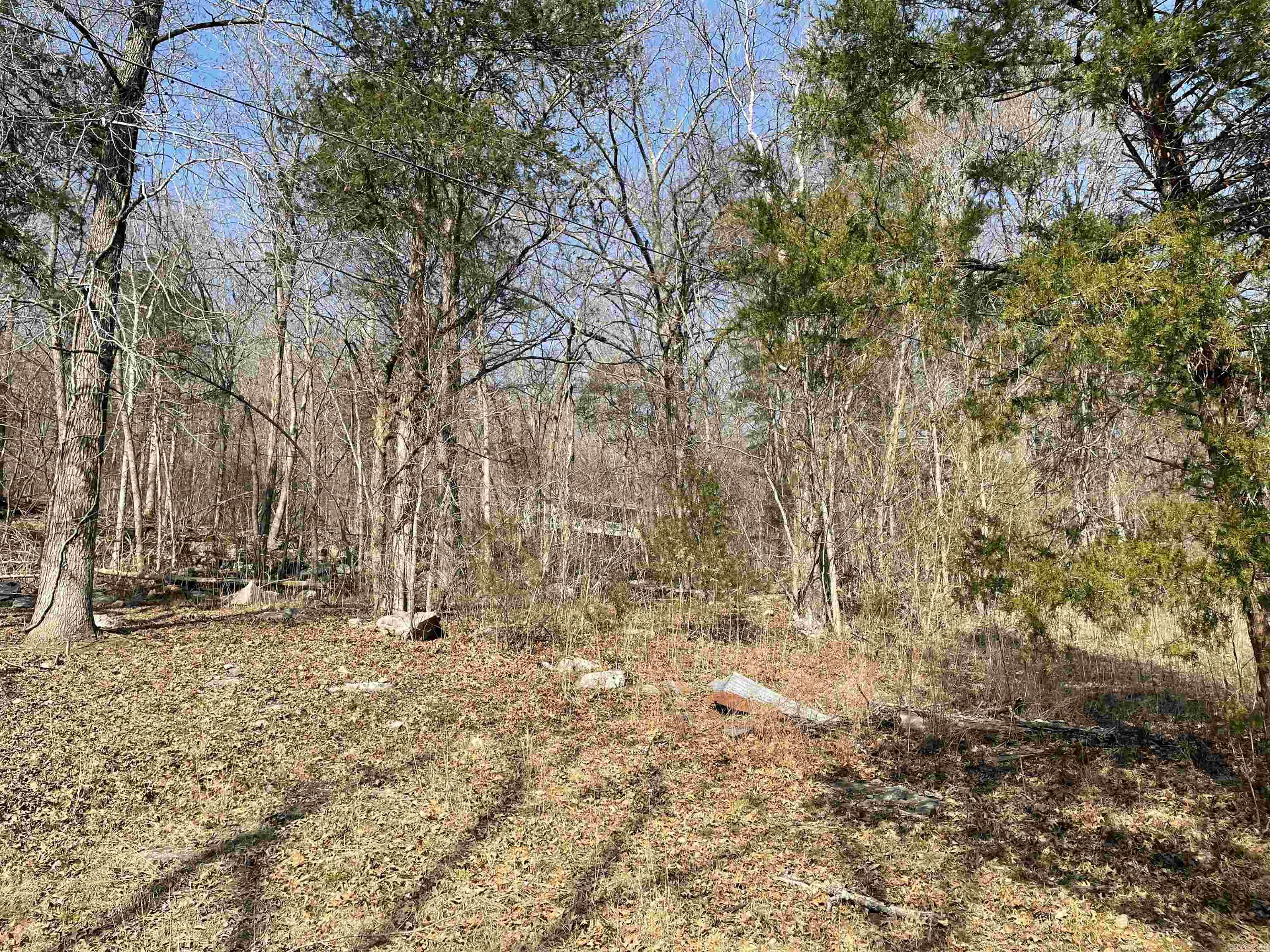 000 Peace Mountain Road  Mountain View, AR