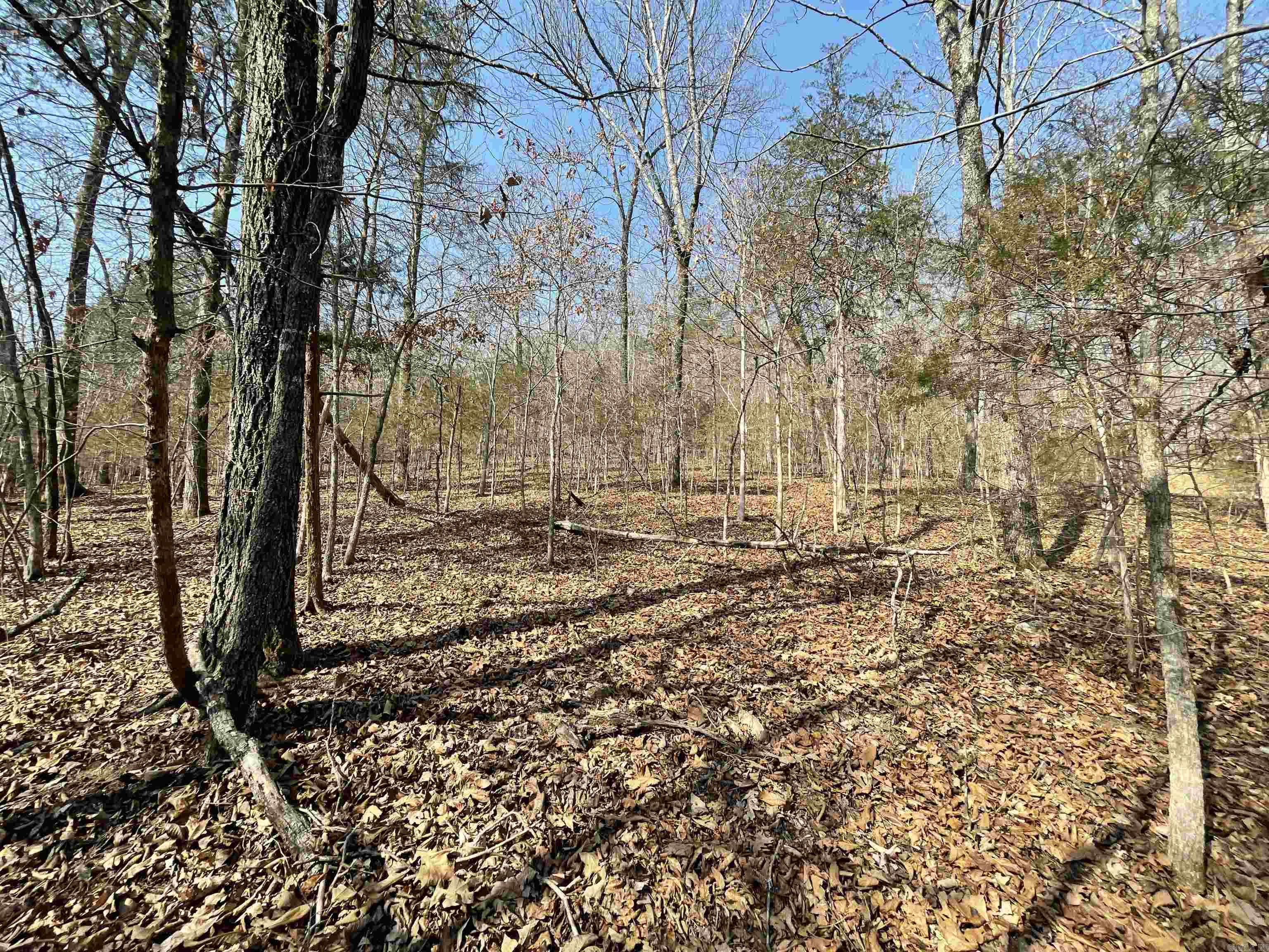 000 Peace Mountain Road  Mountain View, AR