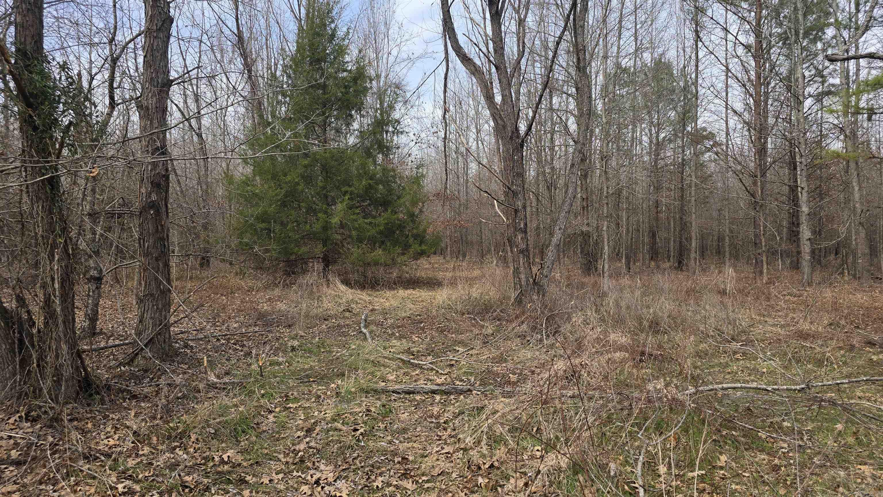 000 Williams  Bald Knob, AR