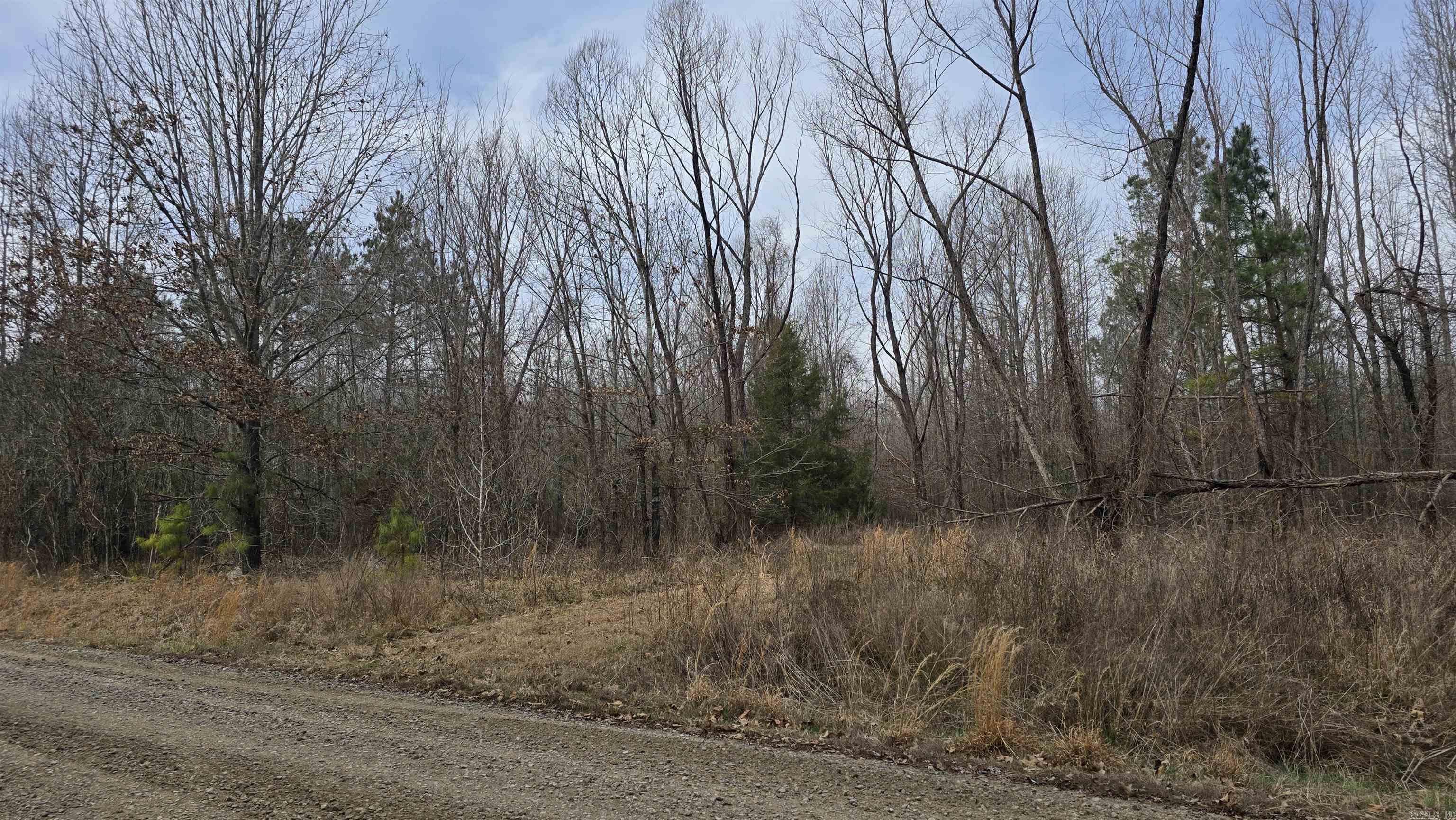 000 Williams  Bald Knob, AR