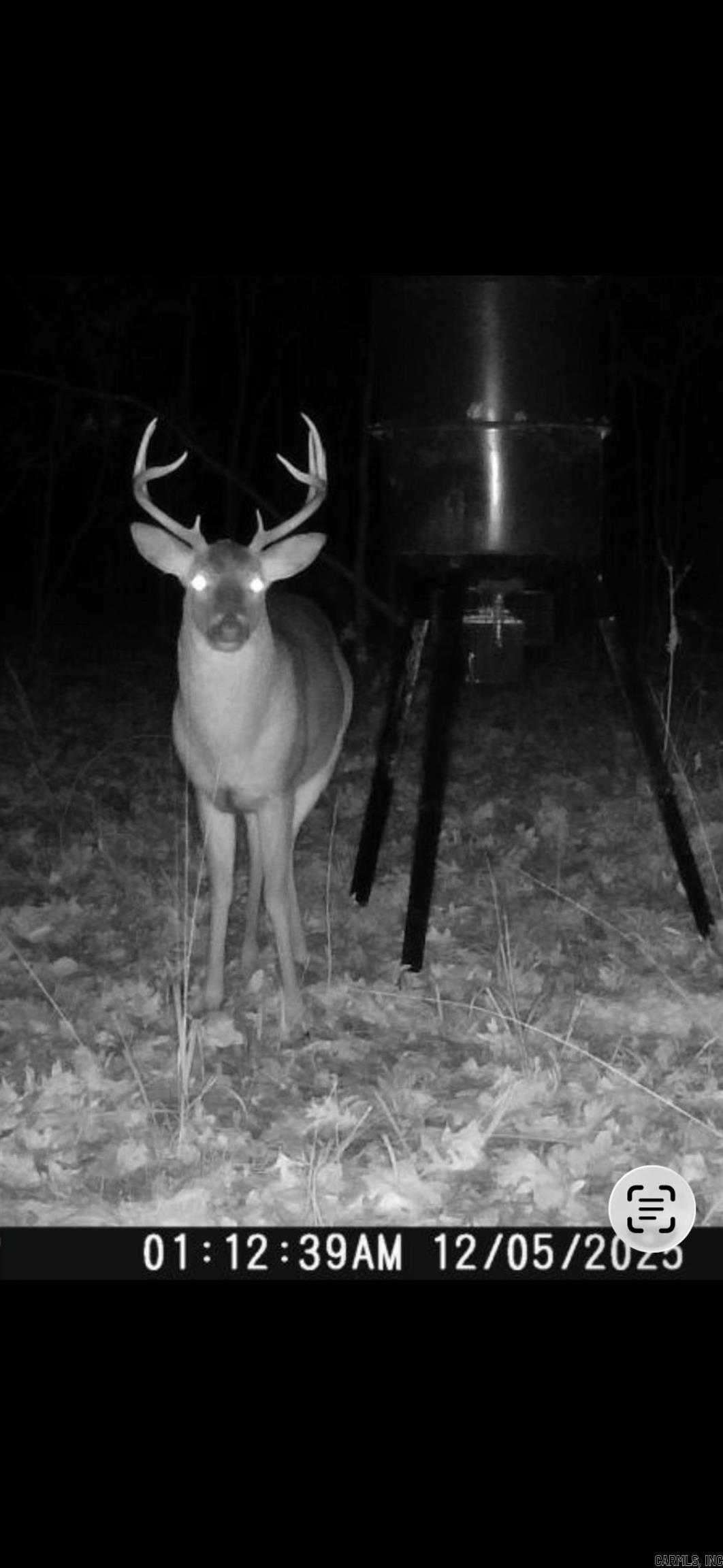 000 Williams  Bald Knob, AR