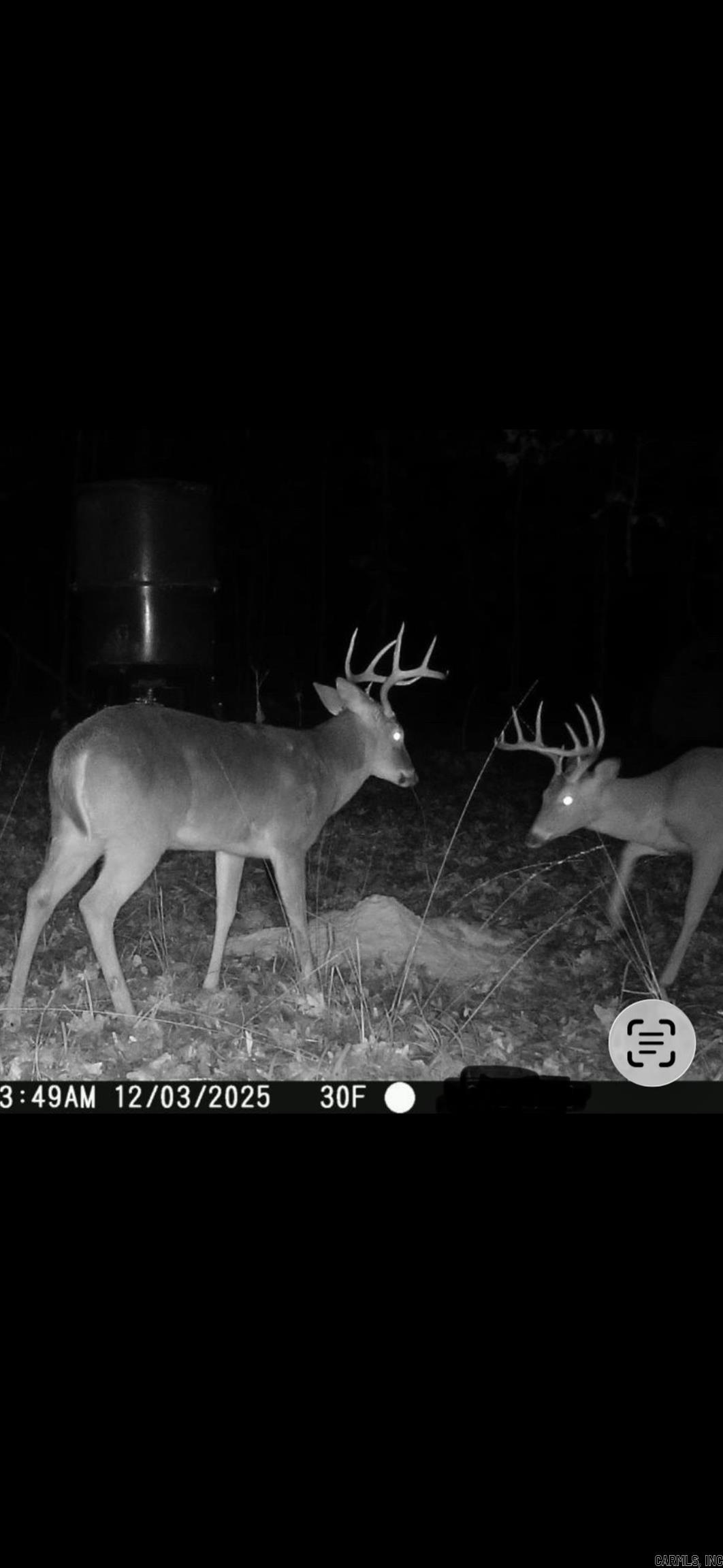 000 Williams  Bald Knob, AR