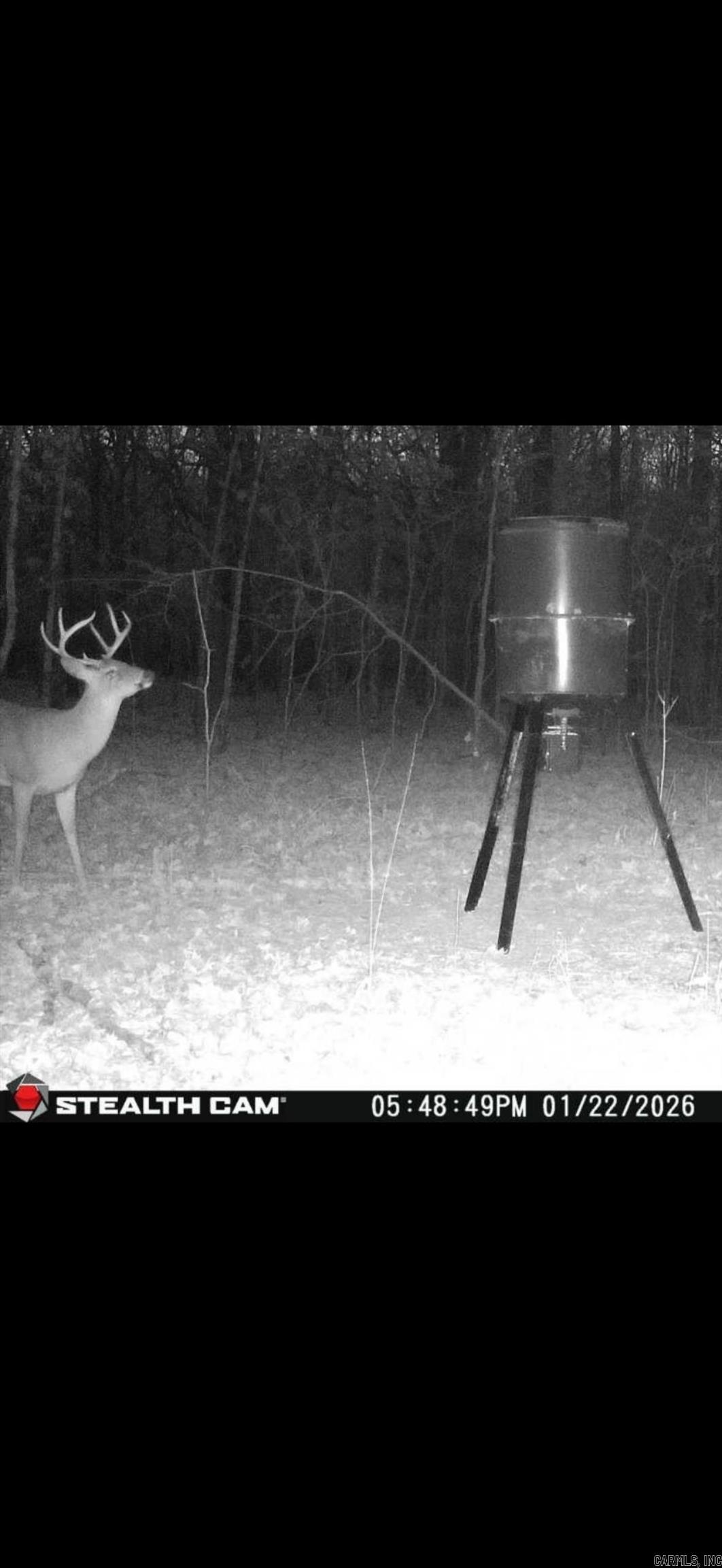 000 Williams  Bald Knob, AR