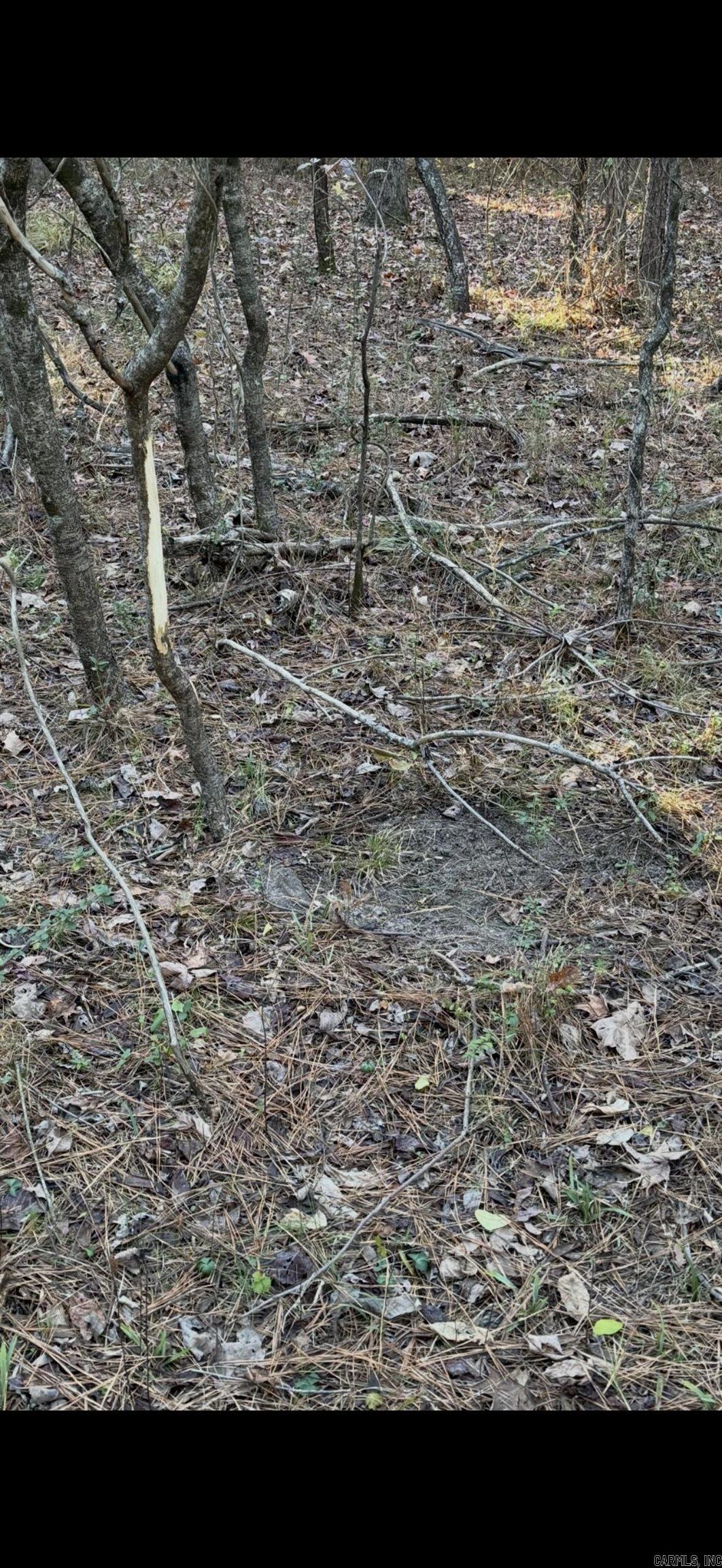 000 Williams  Bald Knob, AR