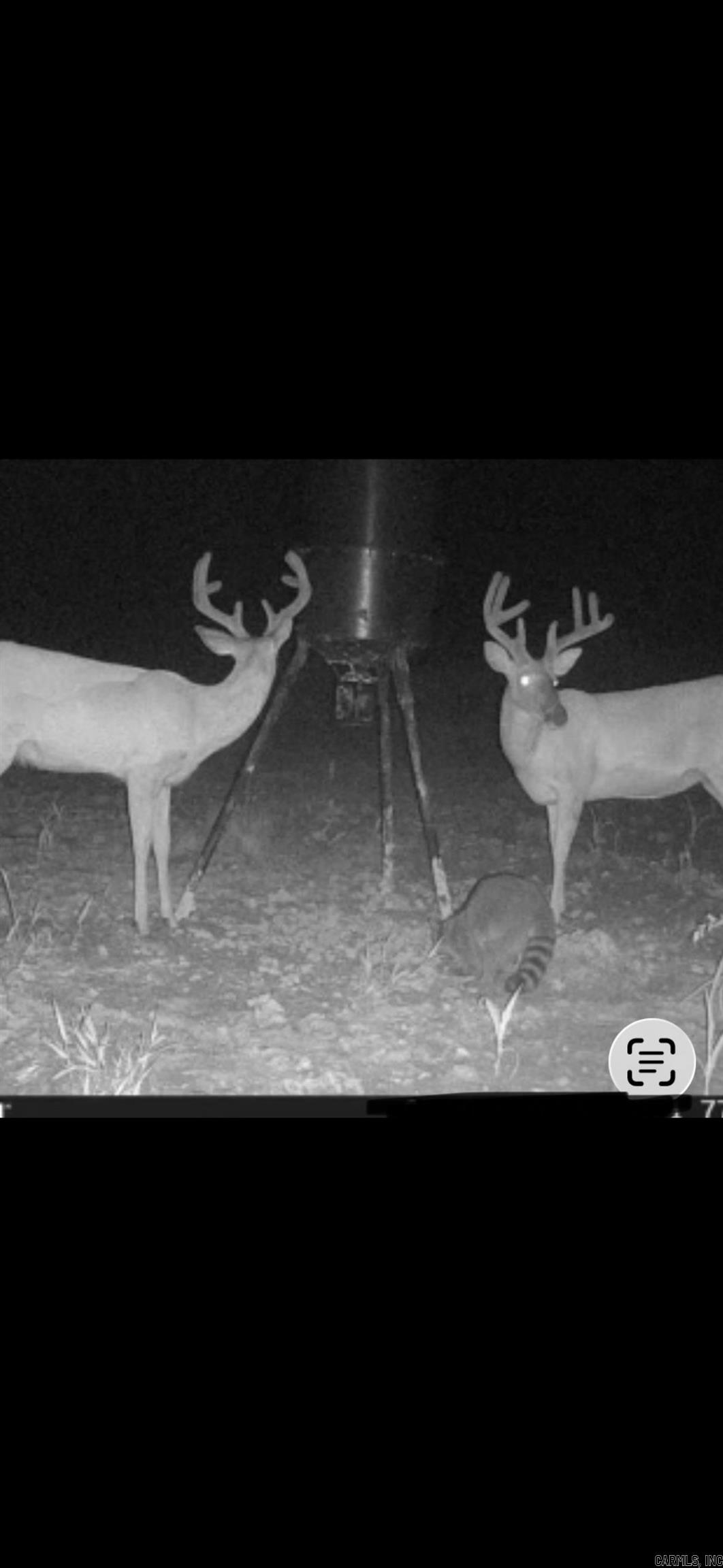 000 Williams  Bald Knob, AR