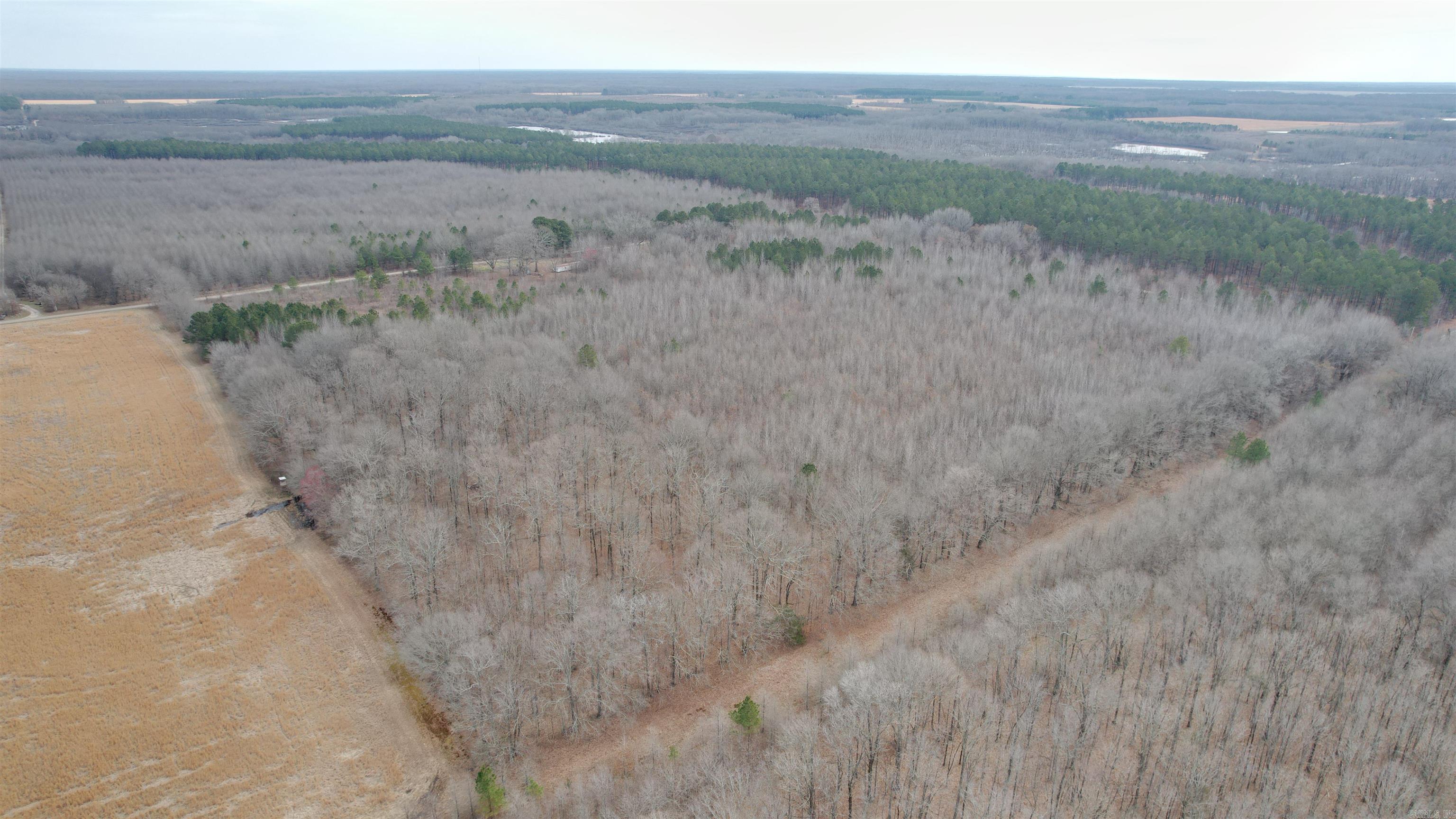 000 Williams  Bald Knob, AR