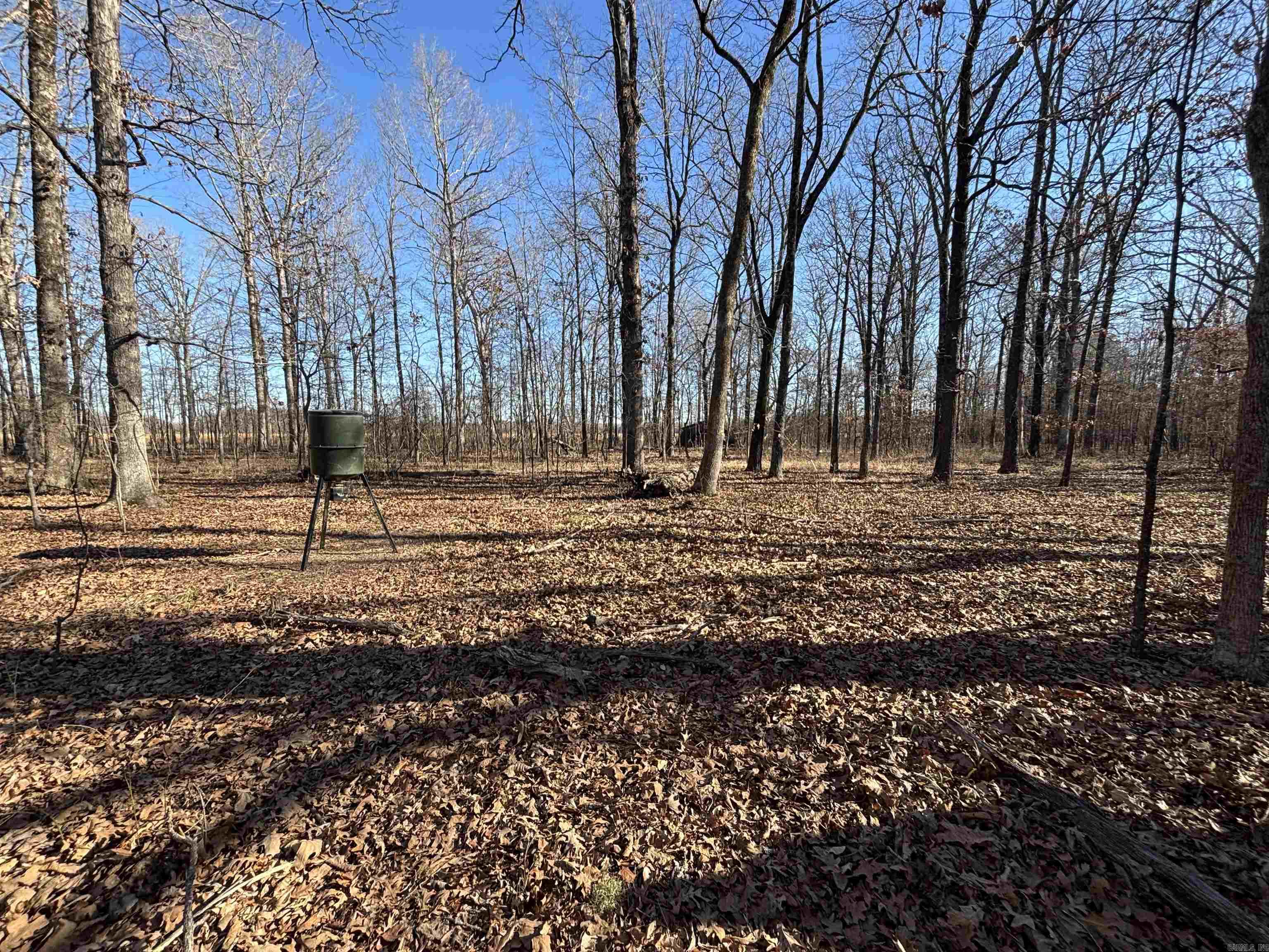 000 Williams  Bald Knob, AR