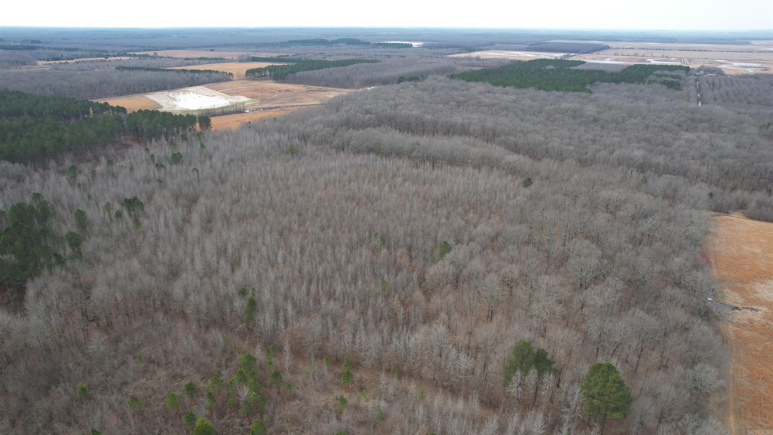 000 Williams  Bald Knob, AR