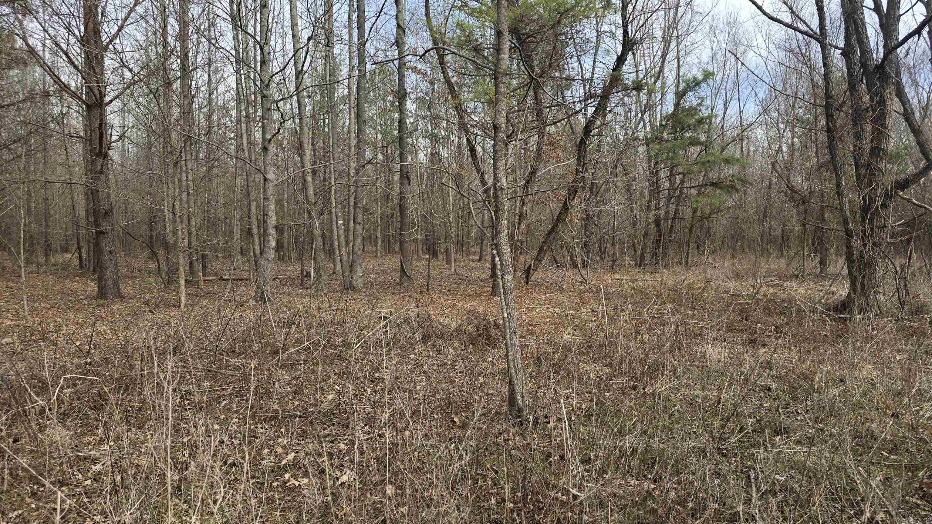 000 Williams  Bald Knob, AR