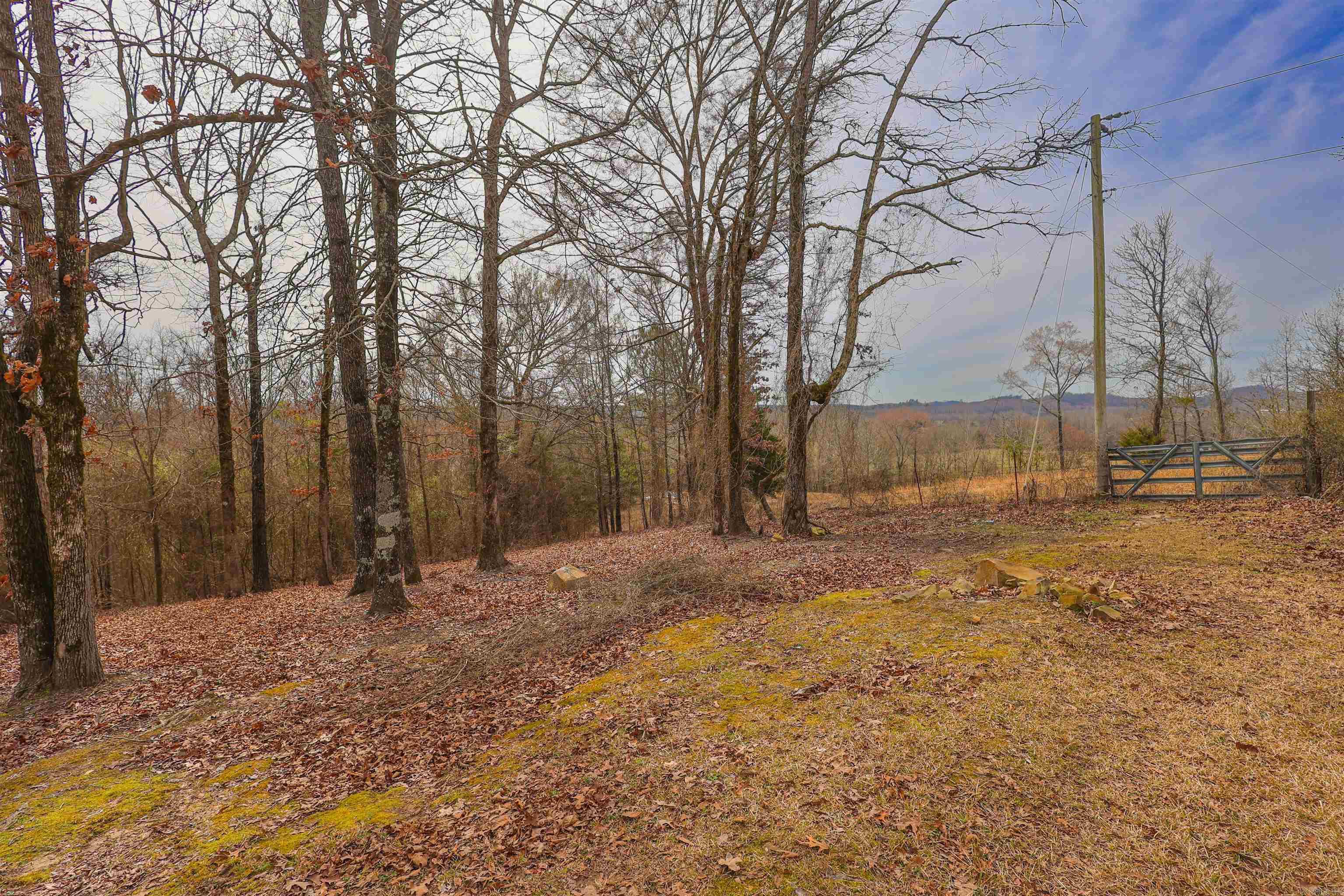 21 Burke  Glenwood, AR