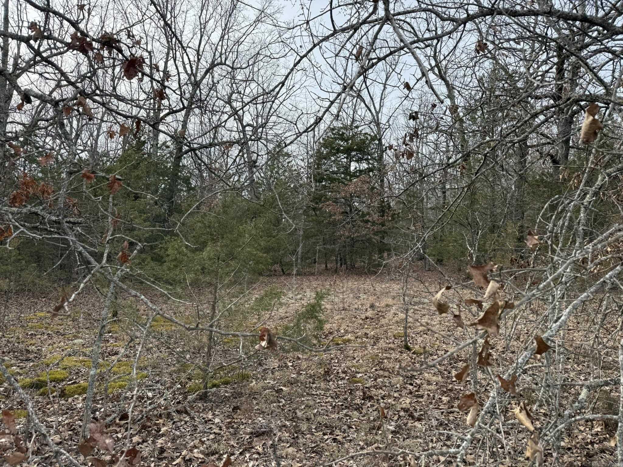 2495 E 74  Marshall, AR