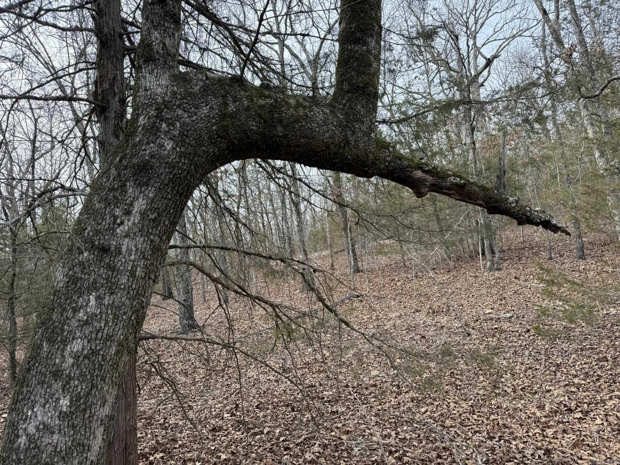 2495 E 74  Marshall, AR