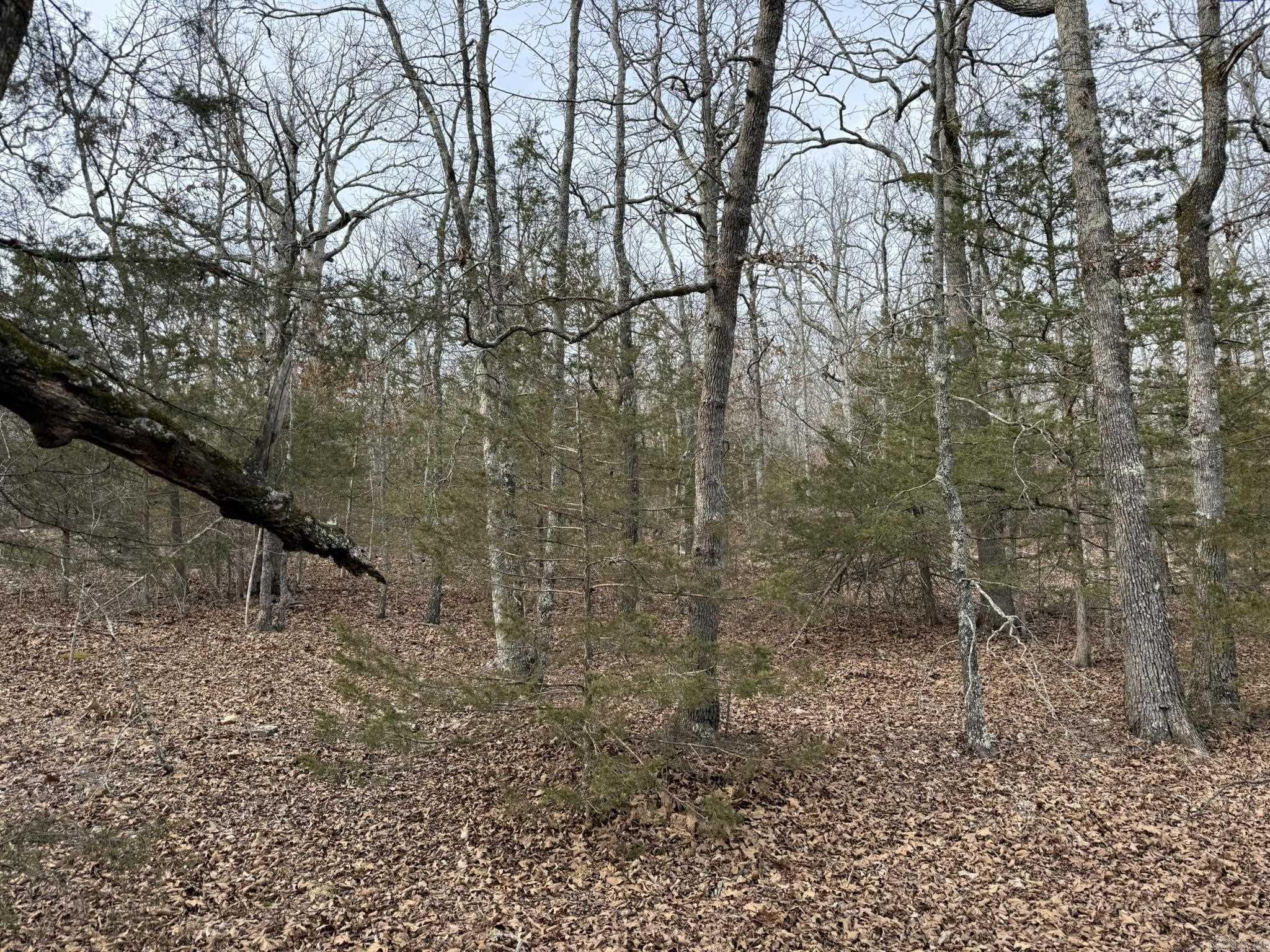 2495 E 74  Marshall, AR