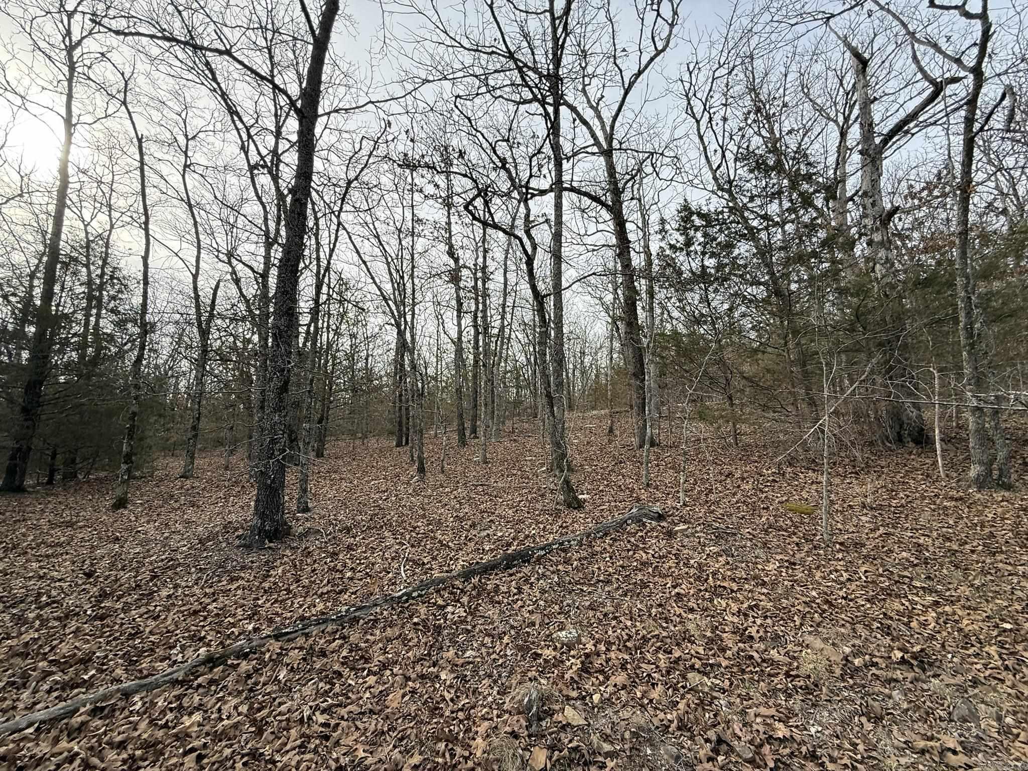 2495 E 74  Marshall, AR