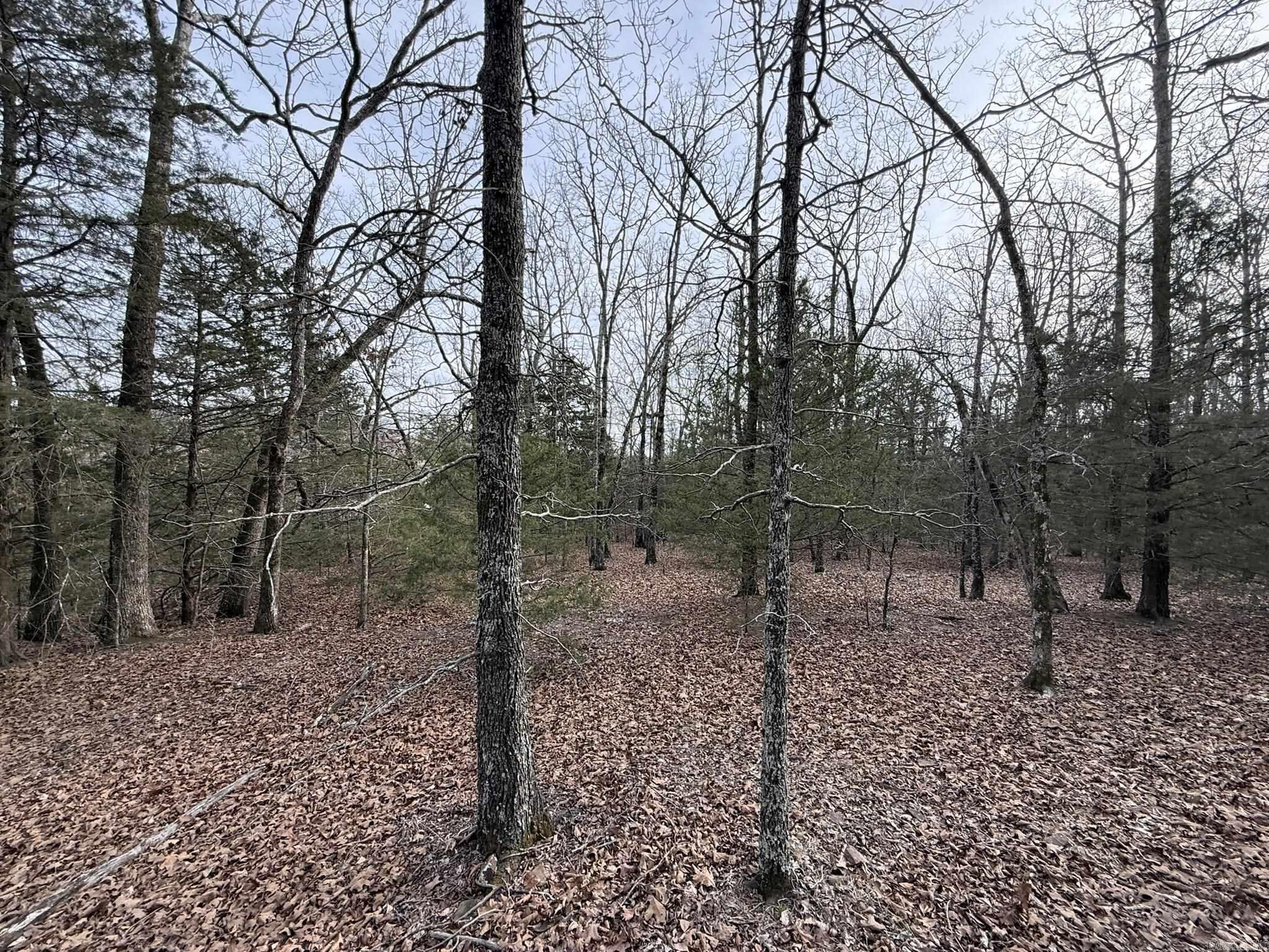 2495 E 74  Marshall, AR