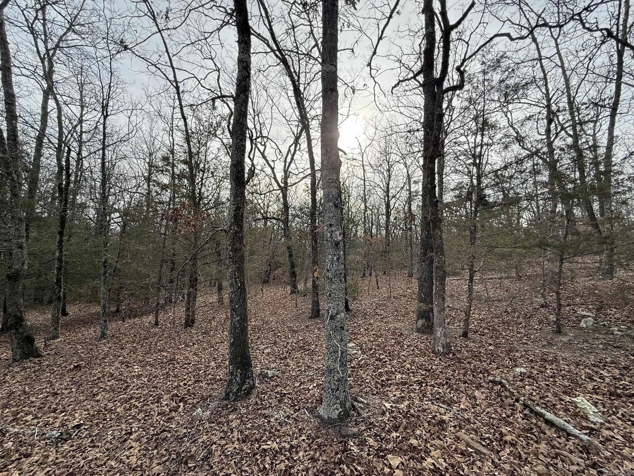 2495 E 74  Marshall, AR