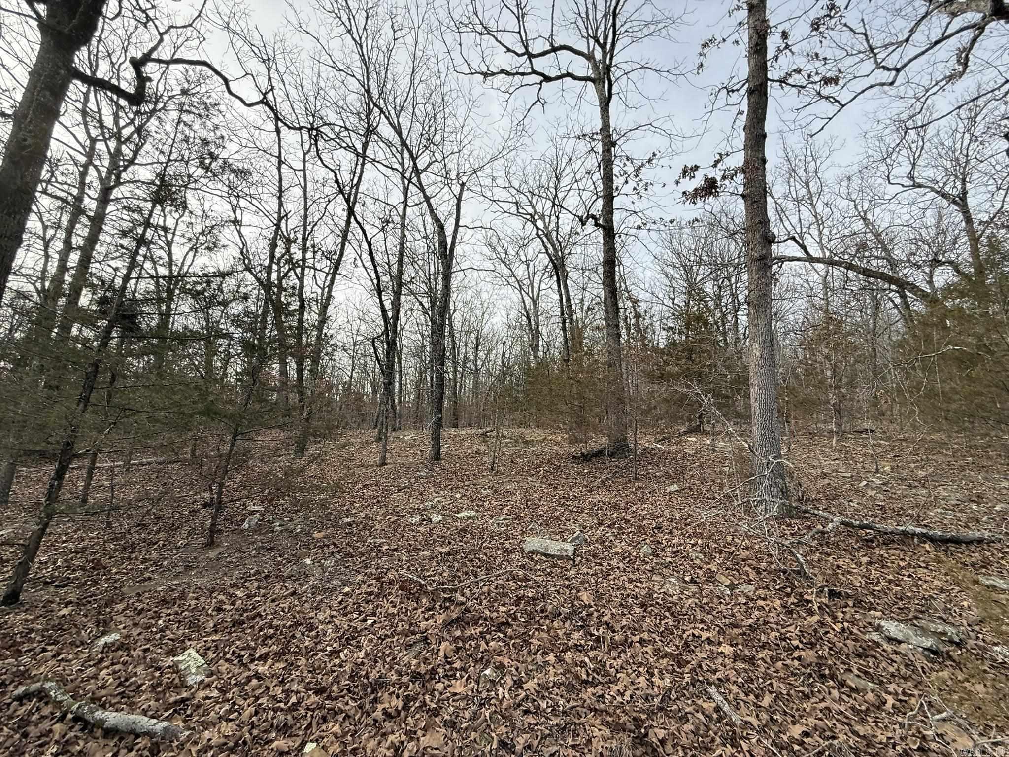 2495 E 74  Marshall, AR