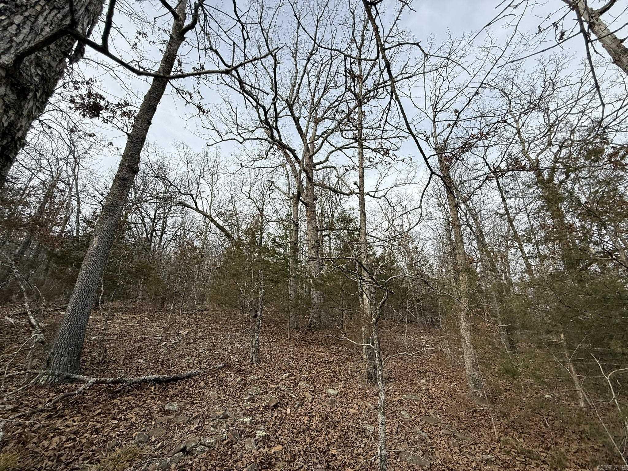 2495 E 74  Marshall, AR