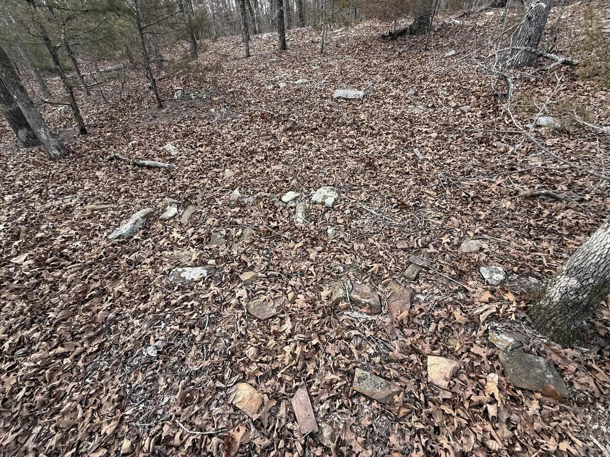 2495 E 74  Marshall, AR