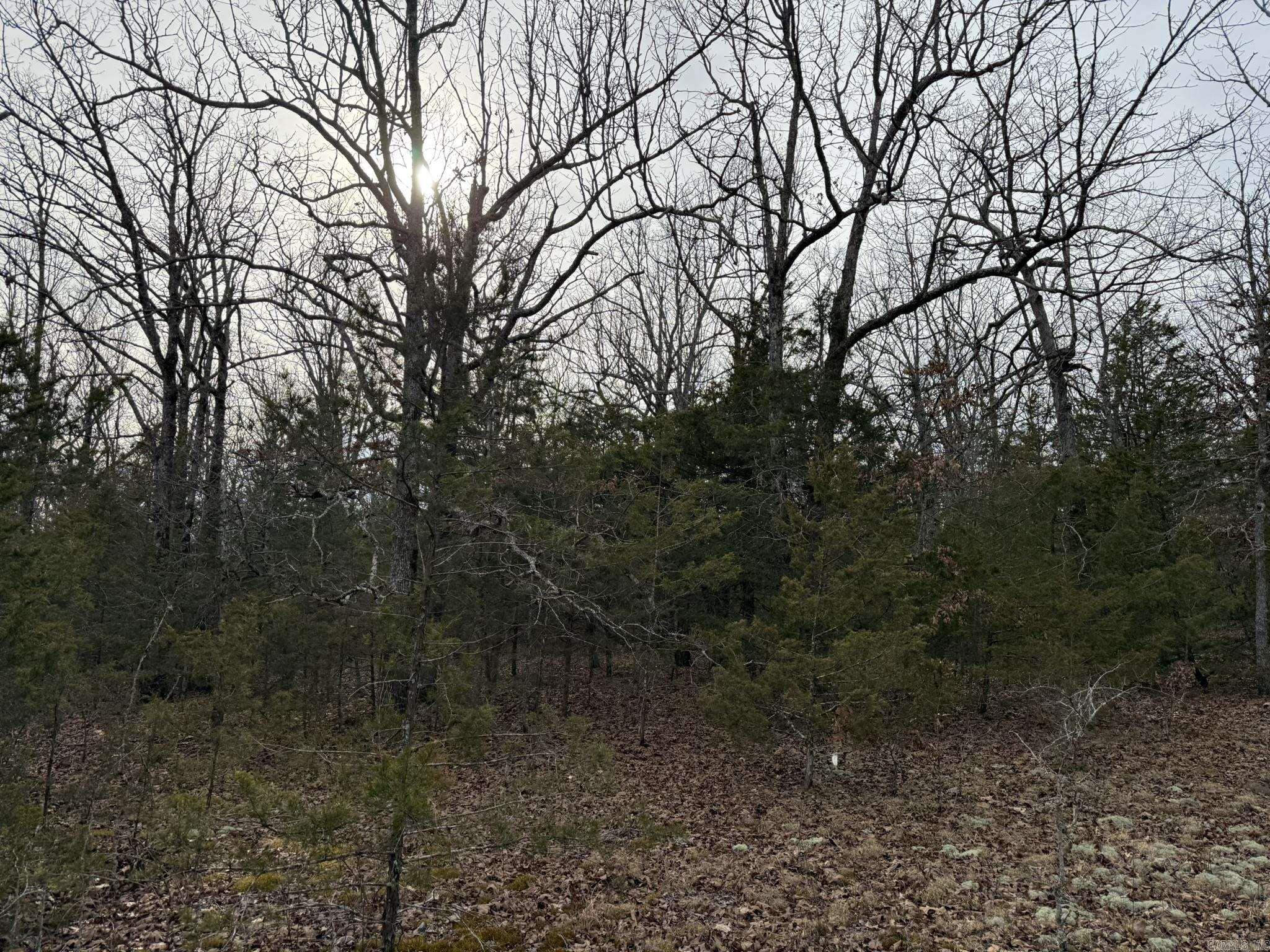 2495 E 74  Marshall, AR