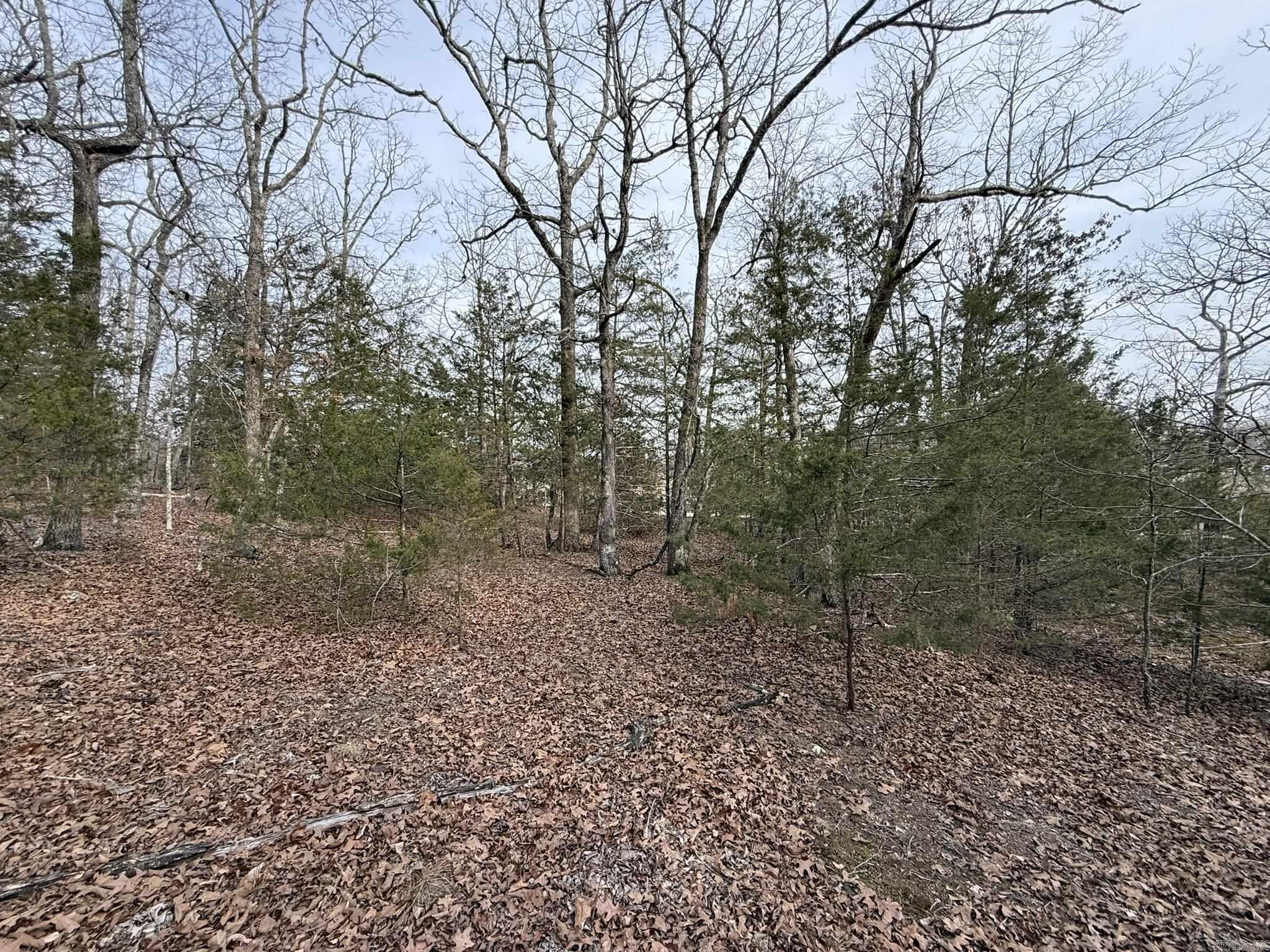 2495 E 74  Marshall, AR