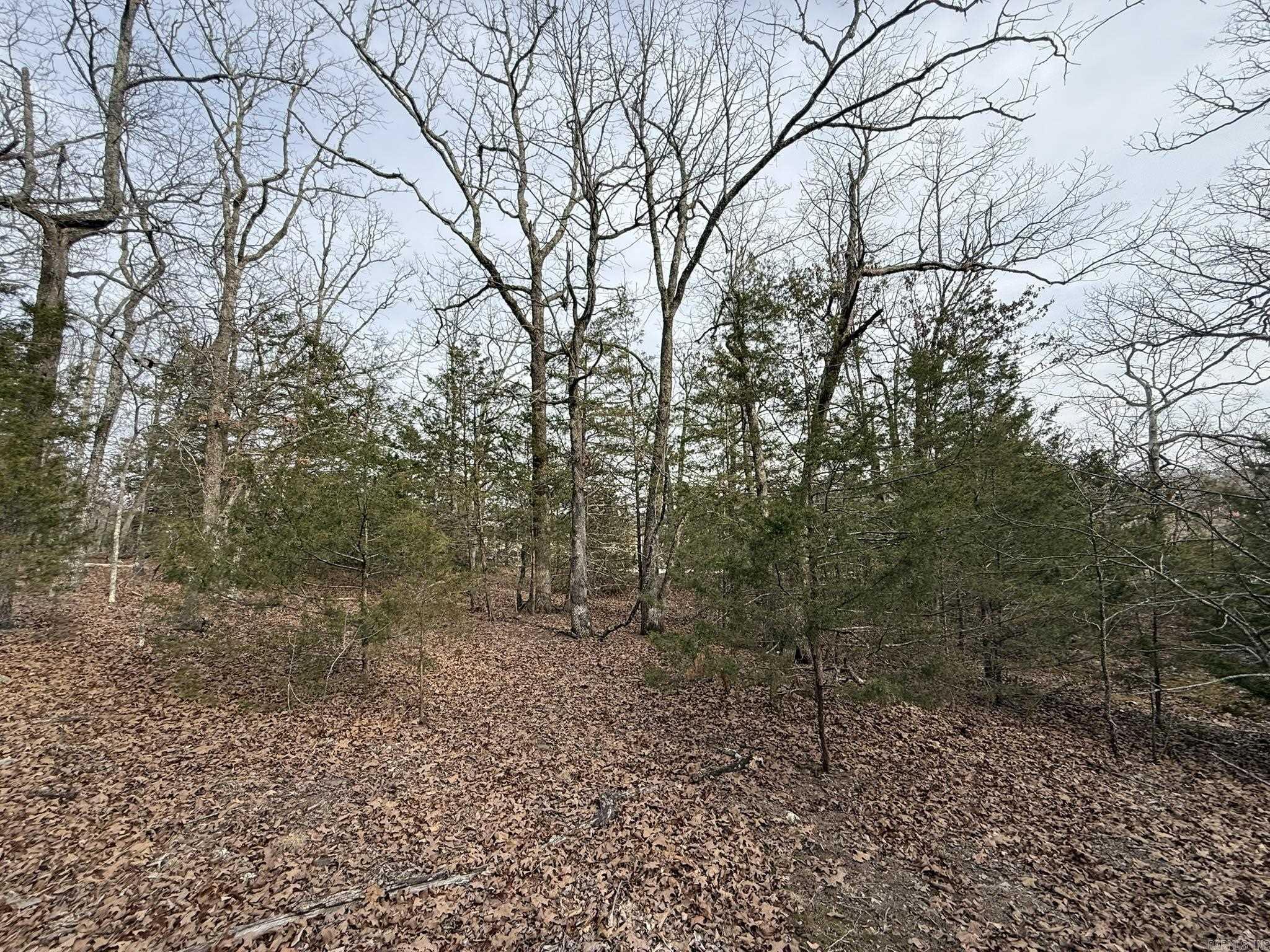 2495 E 74  Marshall, AR