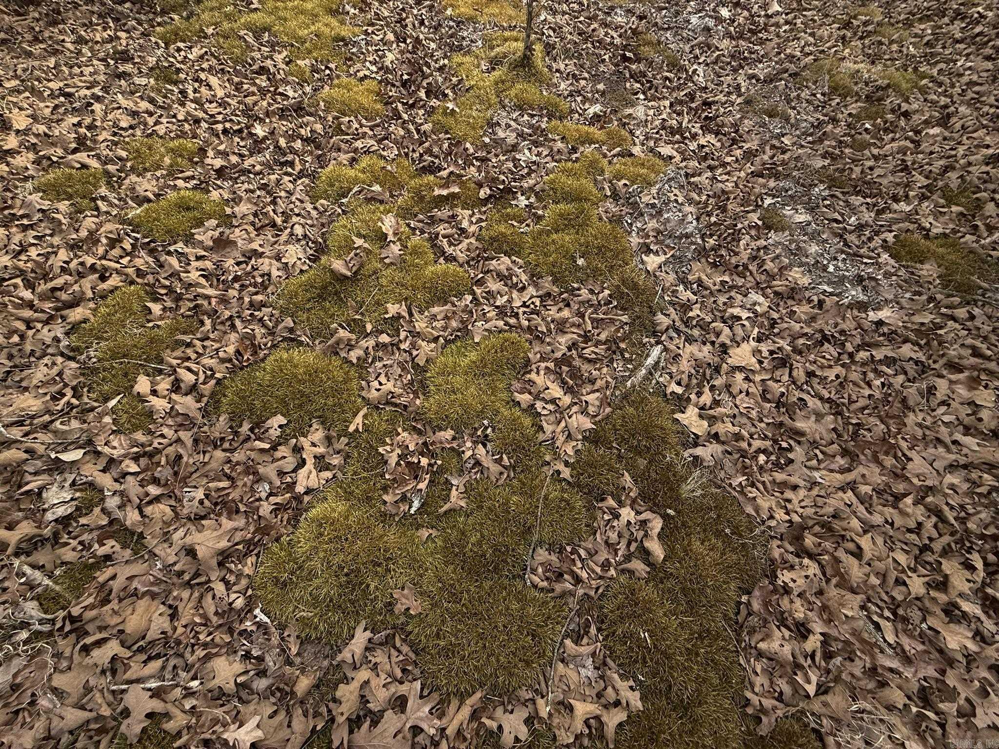 2495 E 74  Marshall, AR