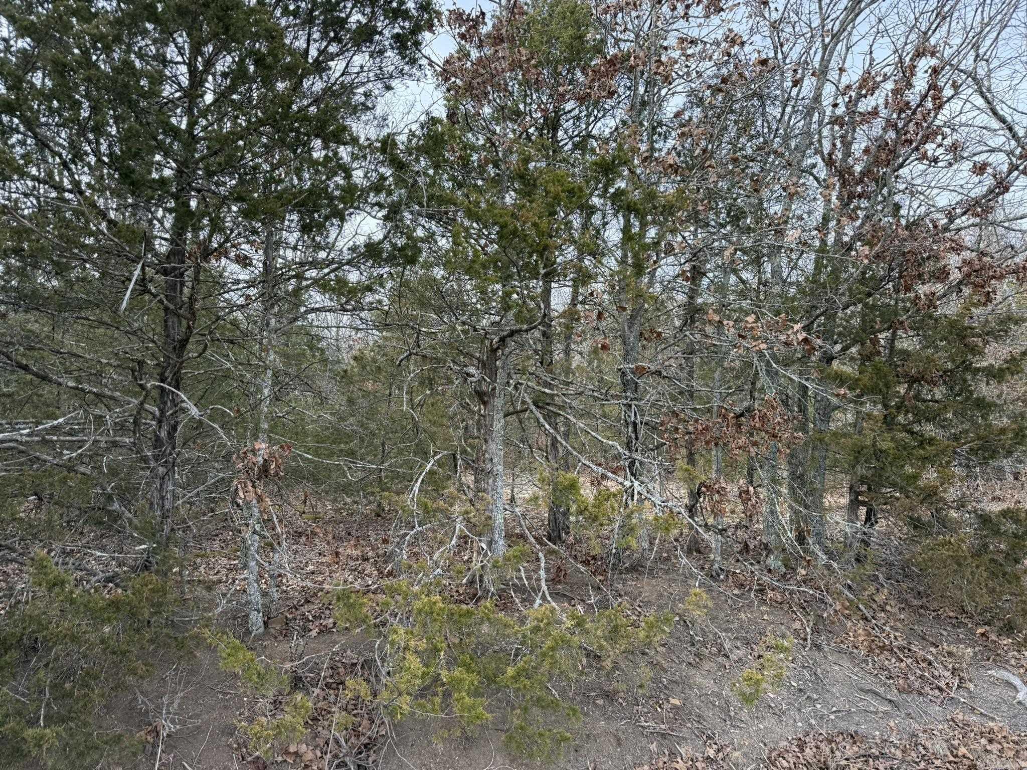 2495 E 74  Marshall, AR