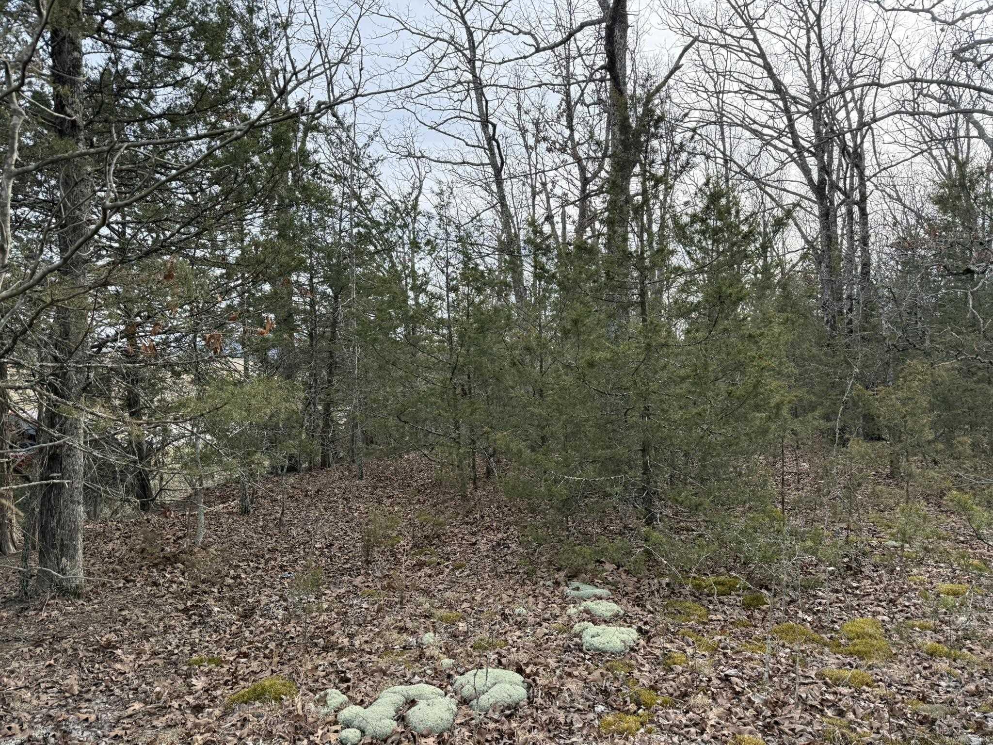 2495 E 74  Marshall, AR