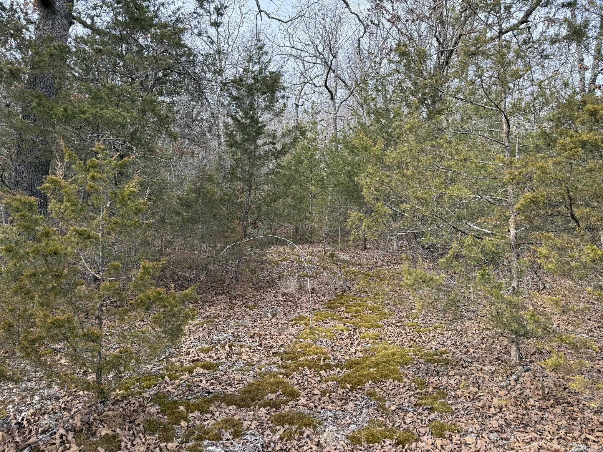 2495 E 74  Marshall, AR